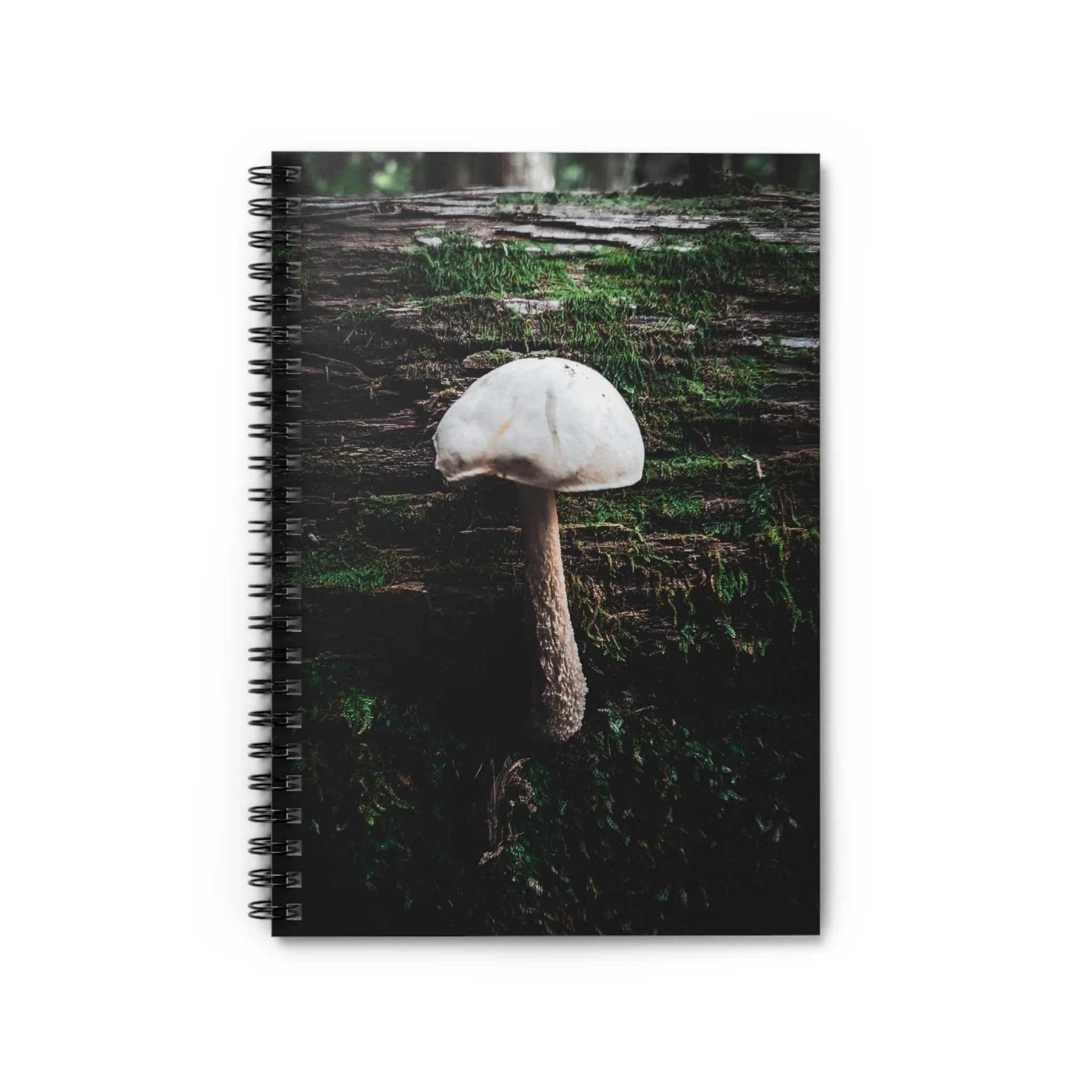 c66efe2a7f64eaf91ba6009f5748e3a6