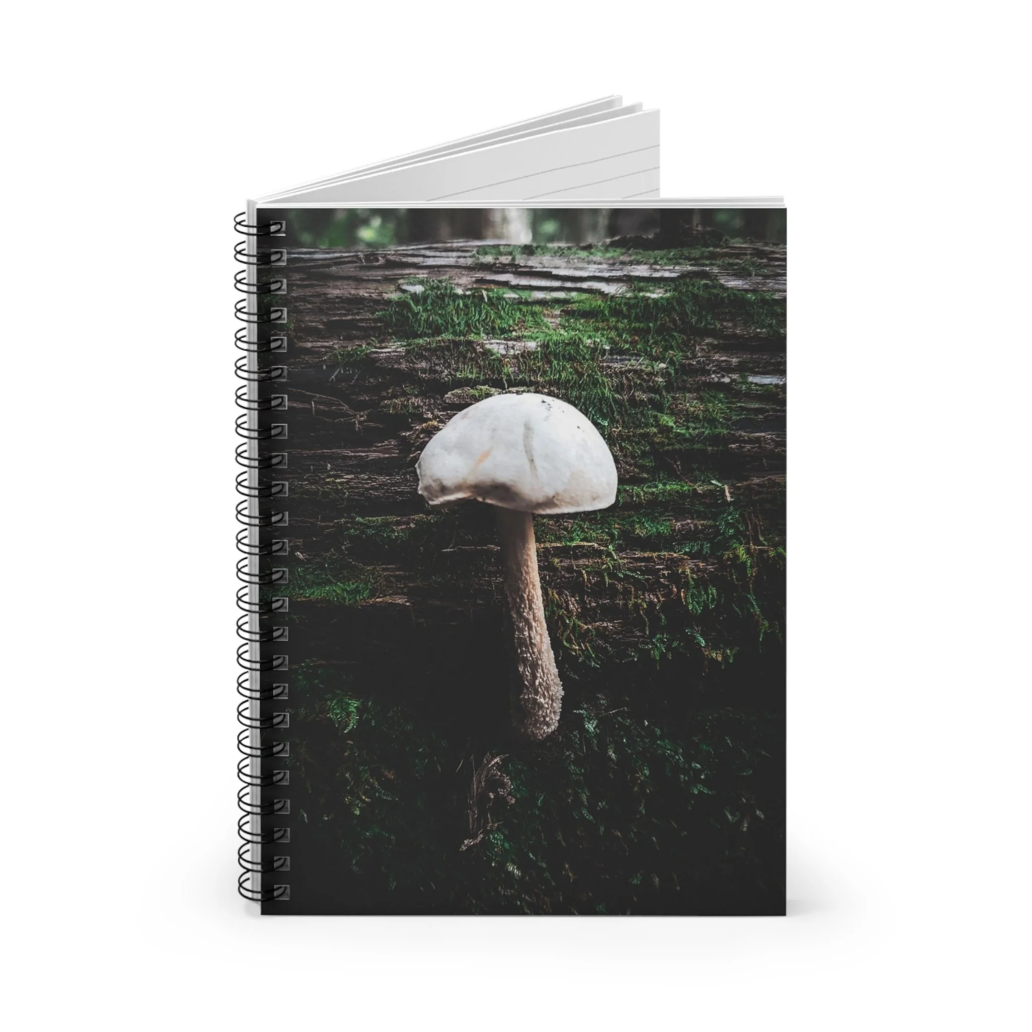 b10158410fe351d391ab3b5c57f08d8a