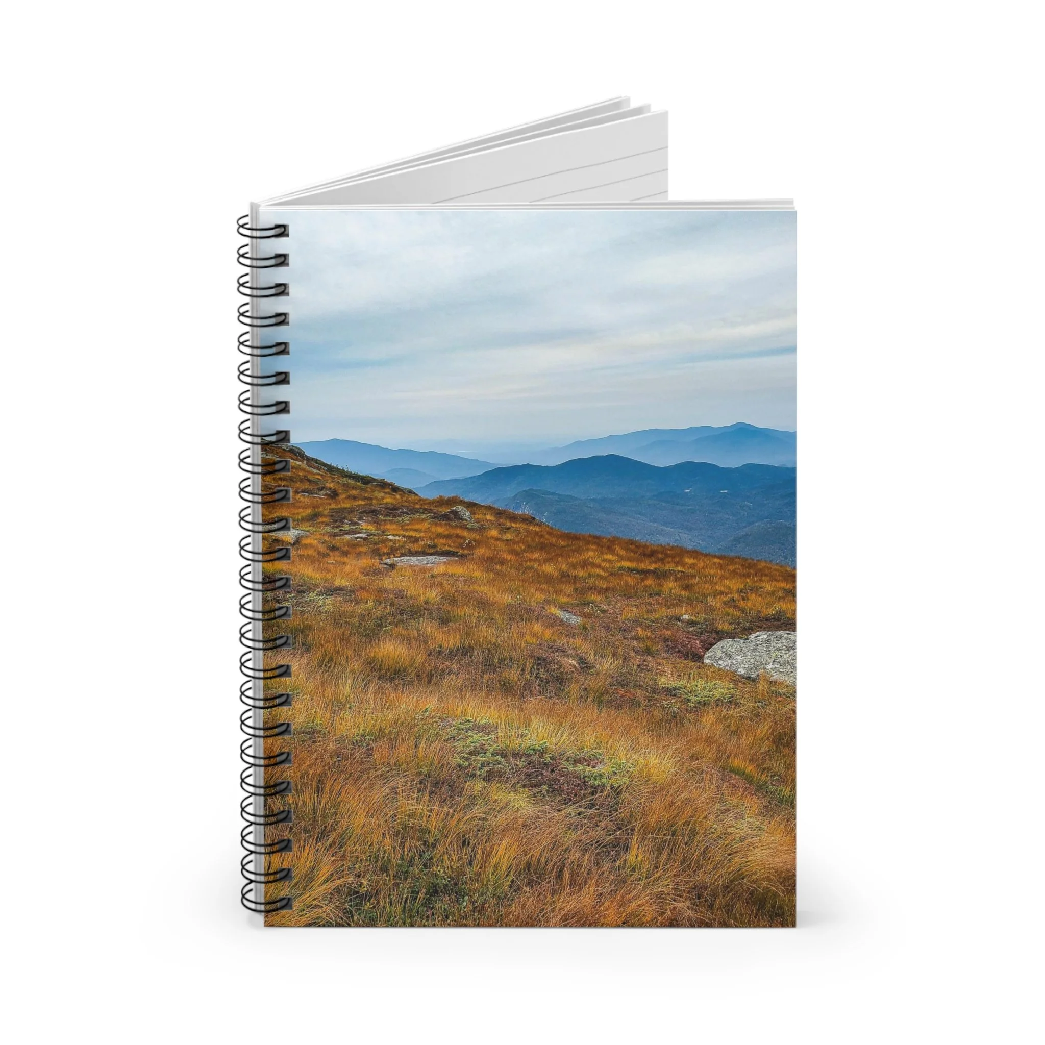 983e1c678ed70d8404ea341b4af2386e