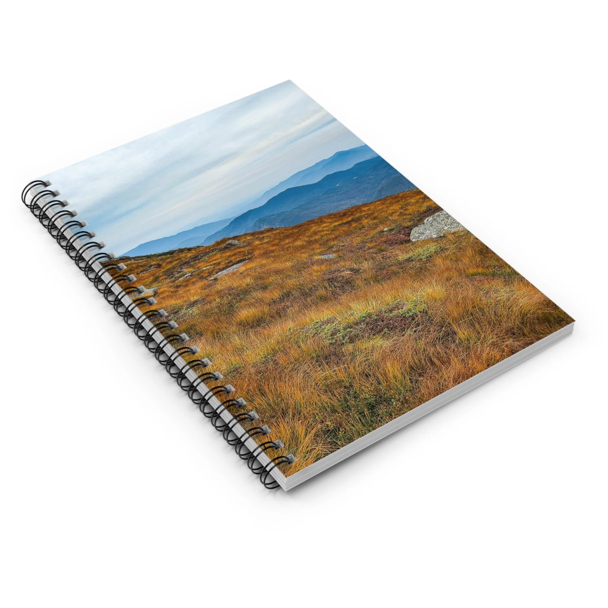 dfe9369eb803aed2e8e464ef3029f399