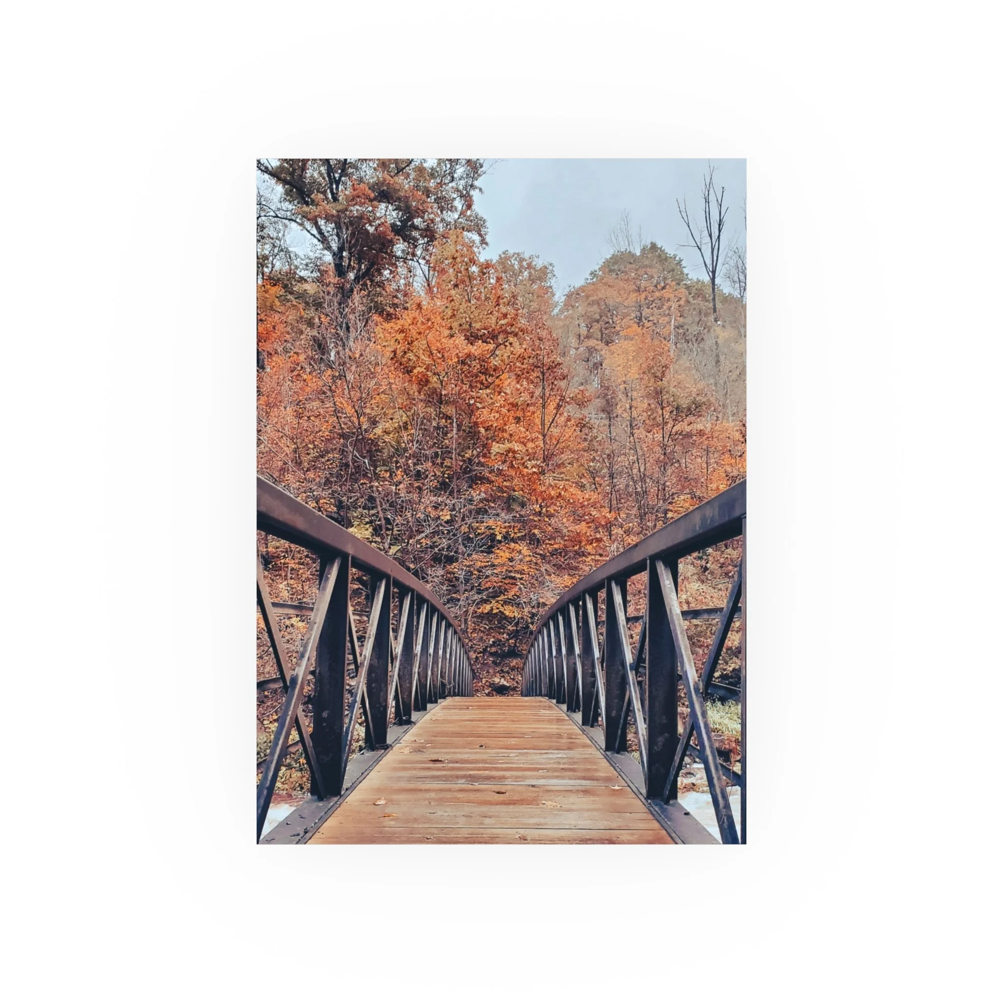 5c365470bdf3233c581ae22bcfb9ba95