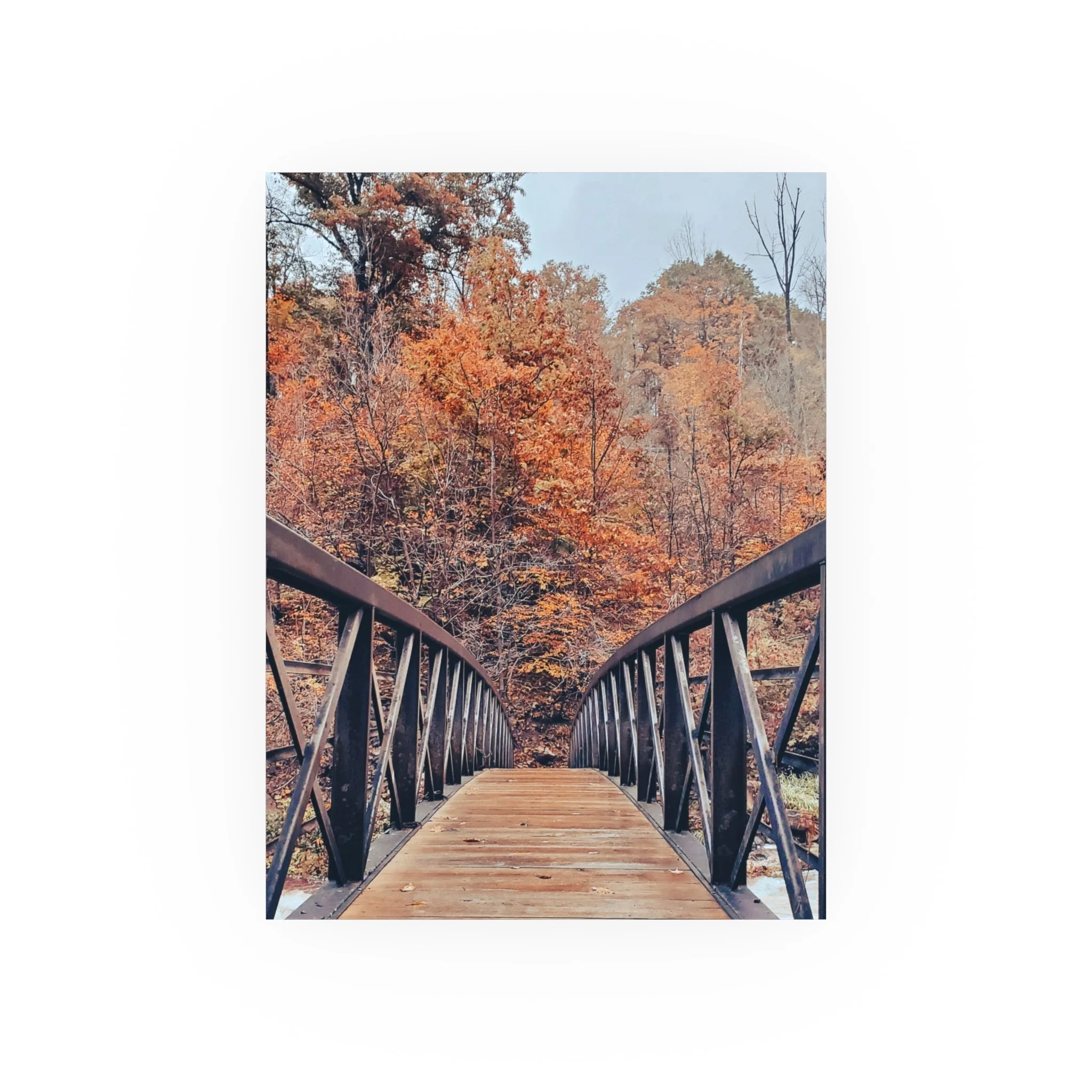 c50e0c787dfb66a136b7120533239422