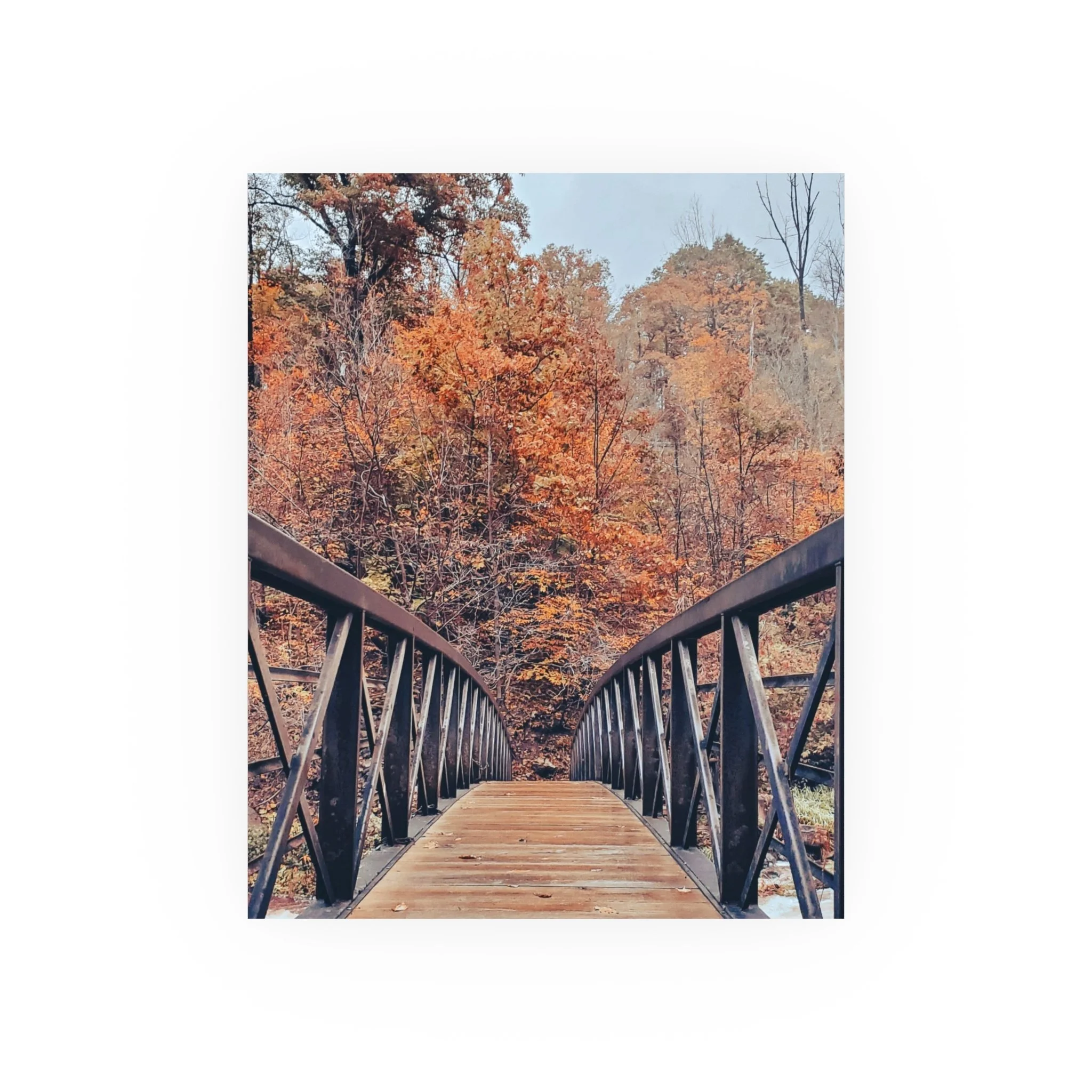 3b572b5ed3d300650d38f8f6d76787a8