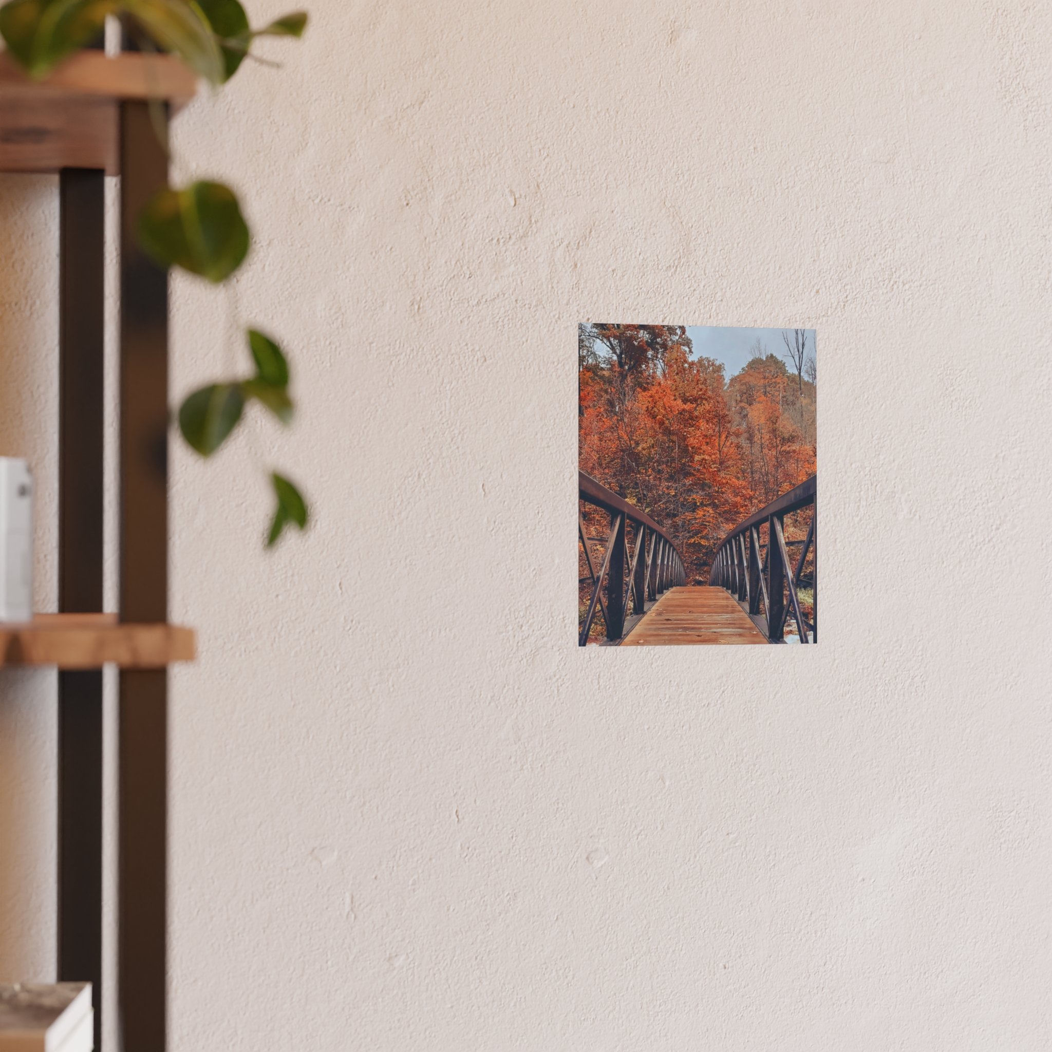 020db5d68ccafd9f0c0a99726fad2f96