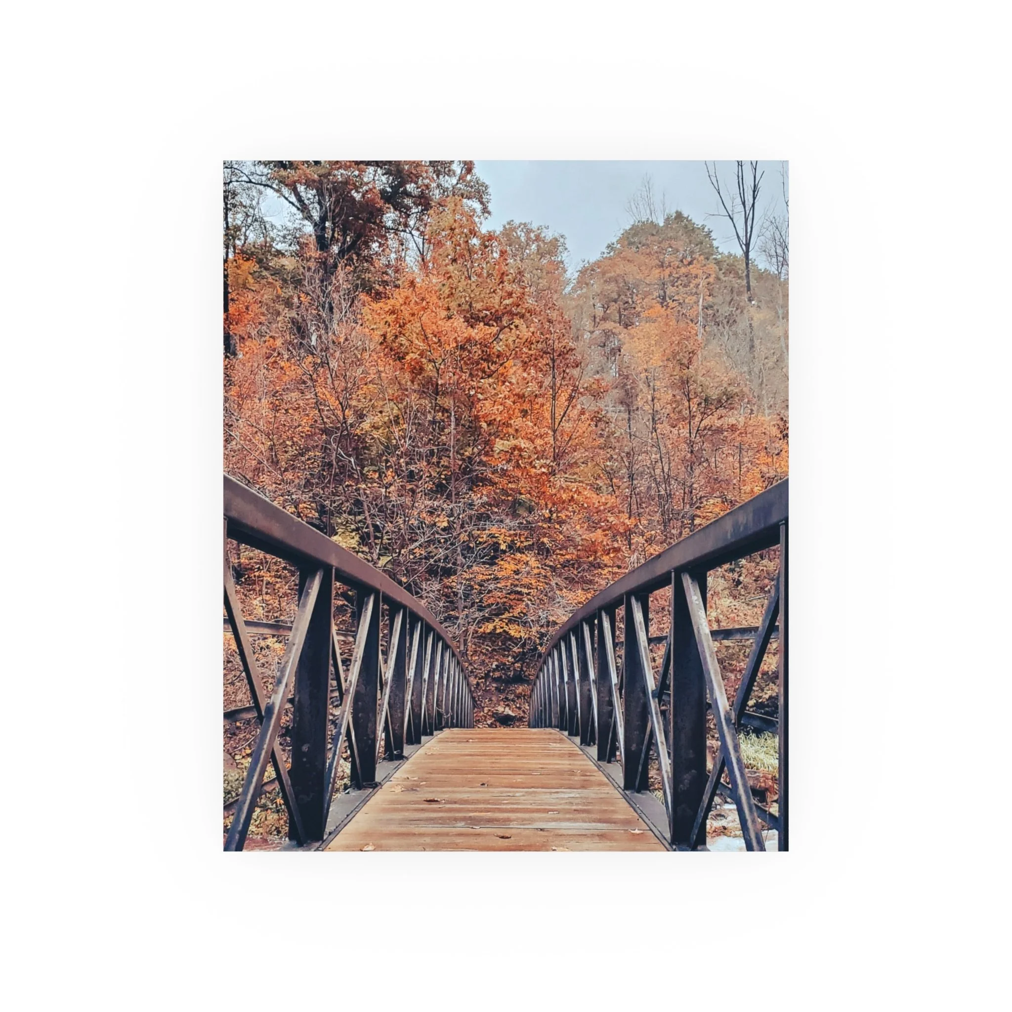 1f18392cebe28a5930bab62b218d8af4