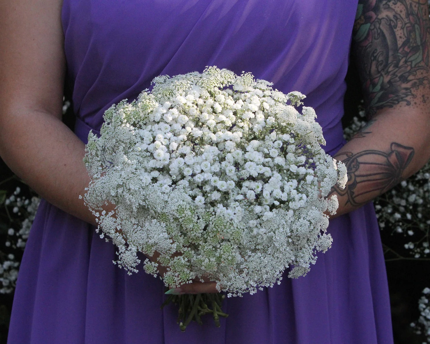 IMG_3109edit 8x10.jpg