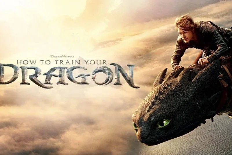 How to Train Your Dragon: a live action remake of the 2010 animated film
