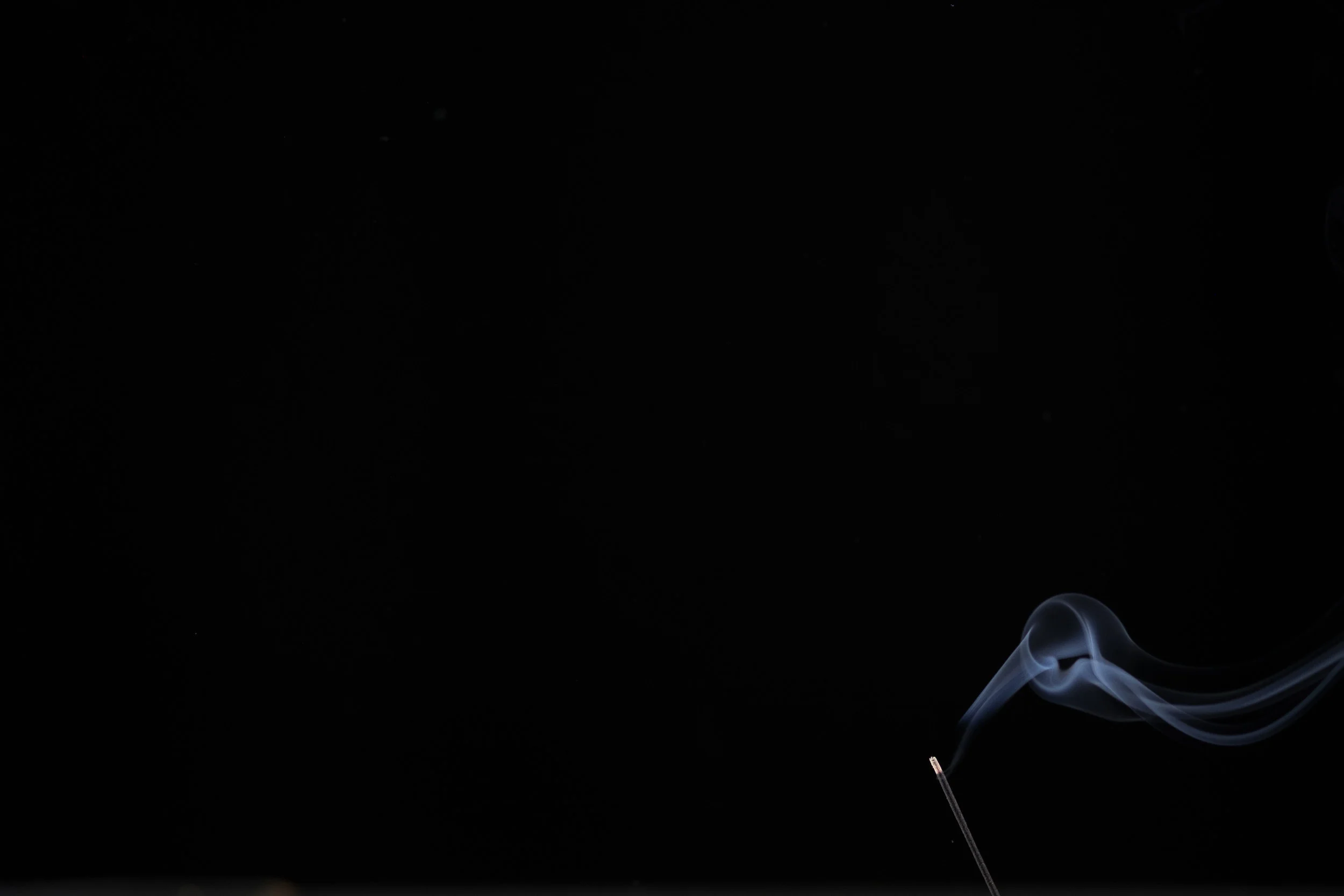 mon chef d'orchestre