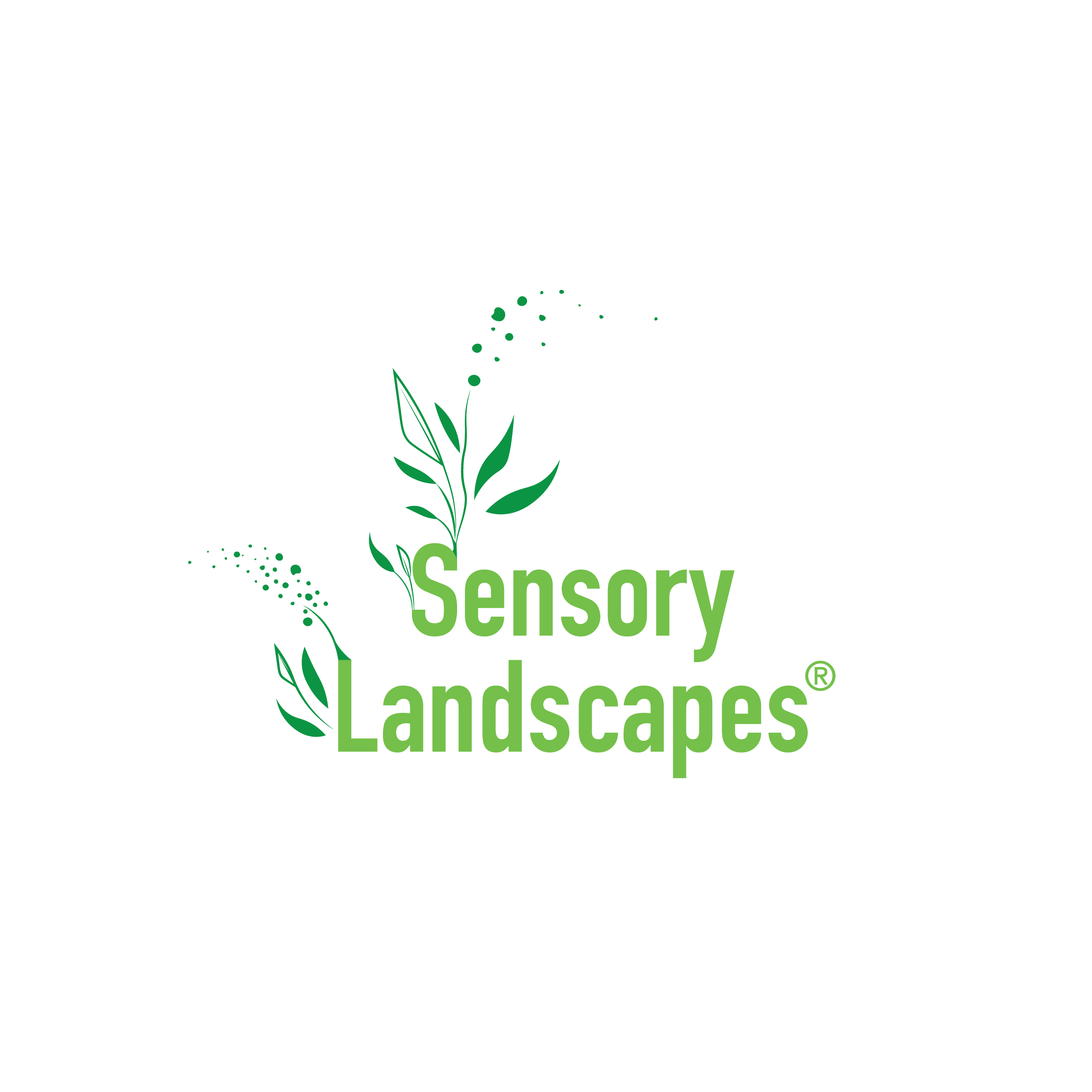 Sensory Landscapes-01.png