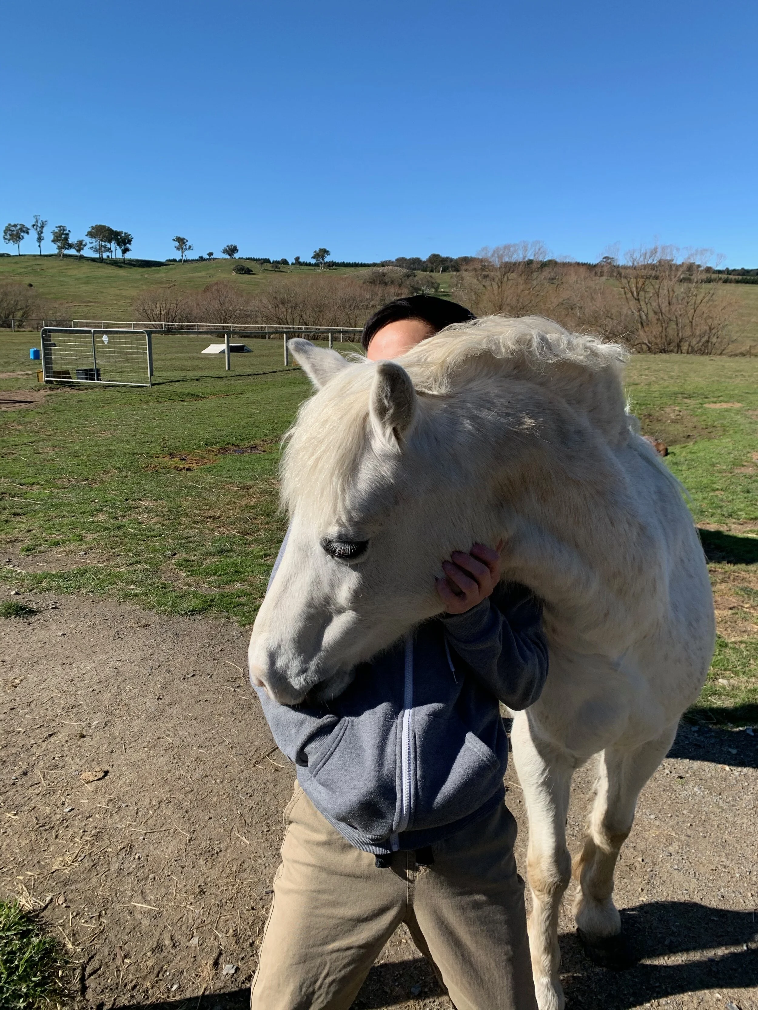 Horse hug happiness