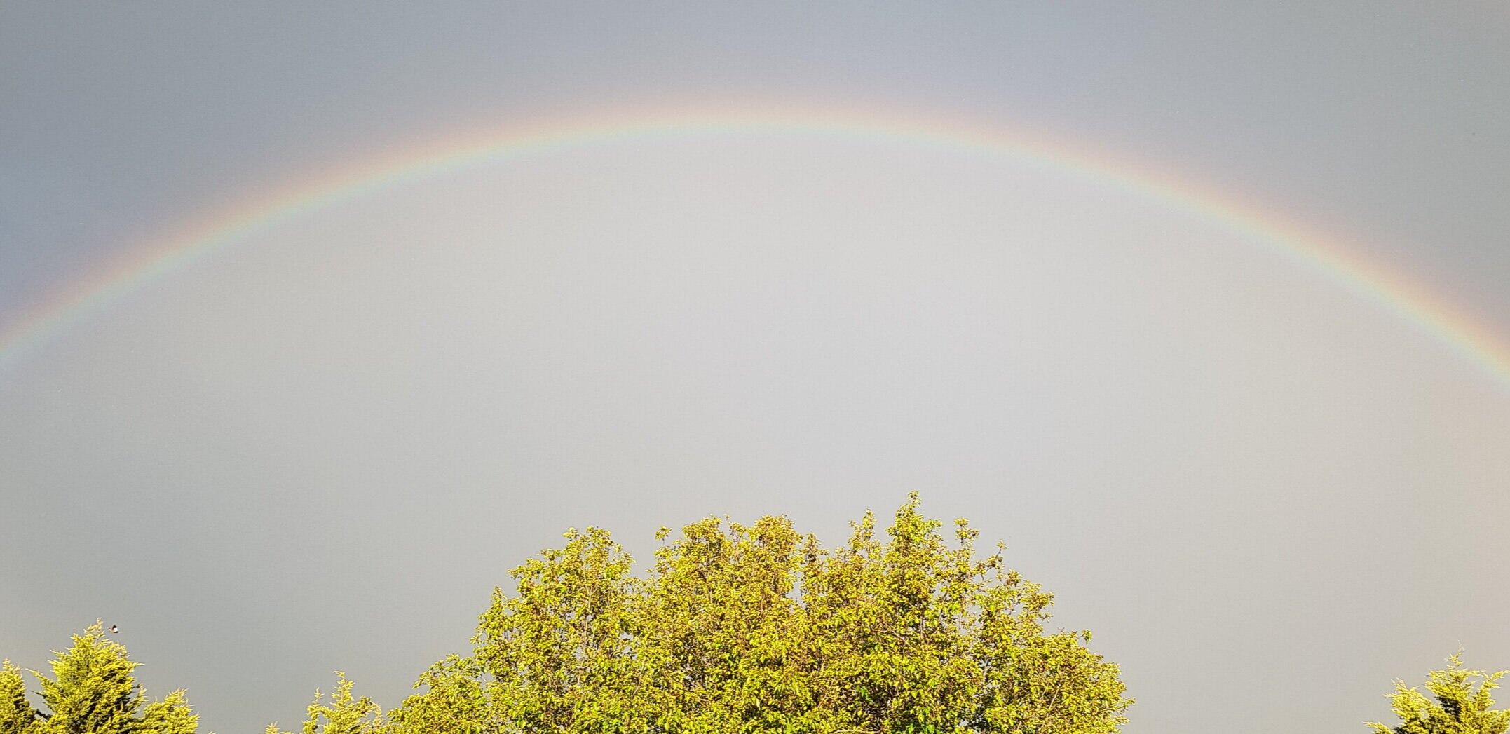 Lasting Legacy of Love