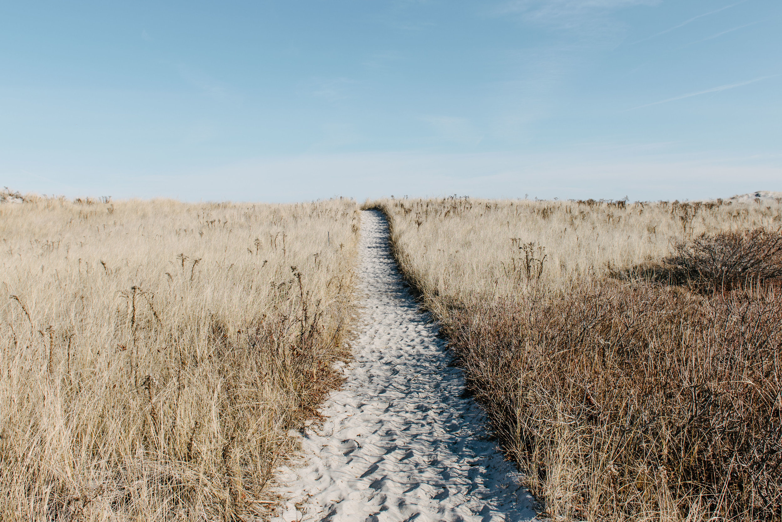 making a decision | part V