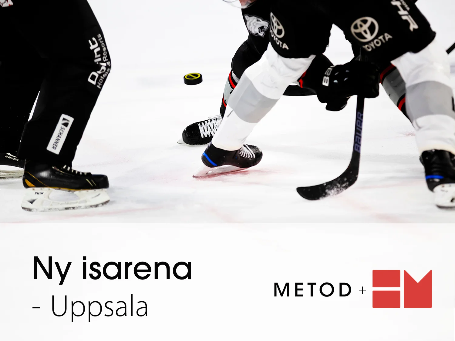 NyIsarena.jpg