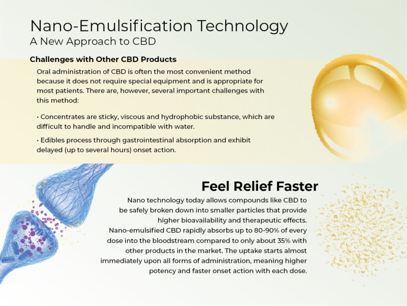 Nano-Infographic-e1536856115798.png