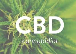 CBD.jpg
