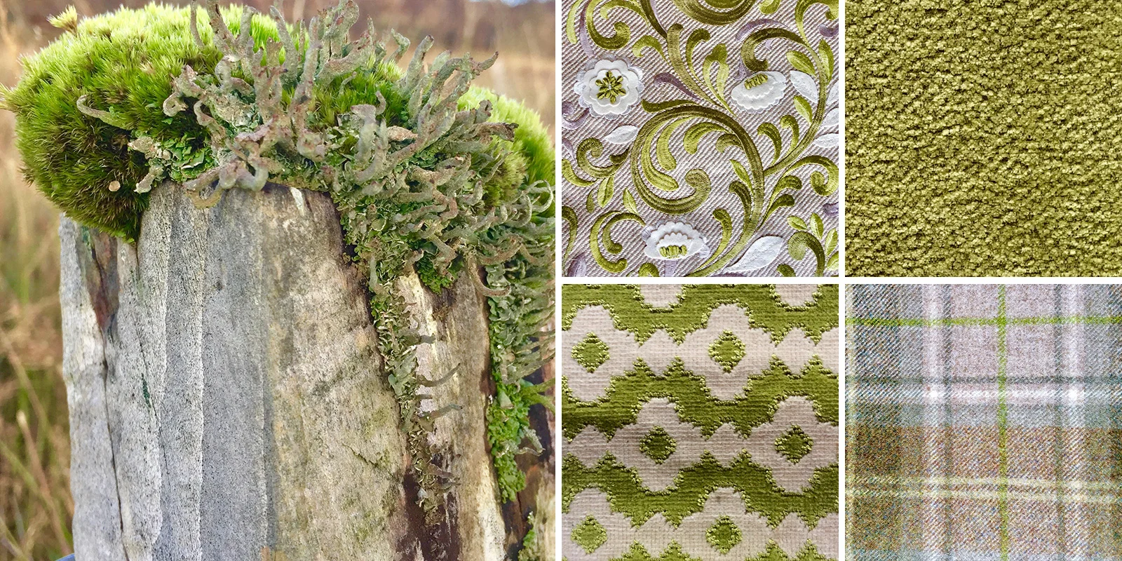 Moss