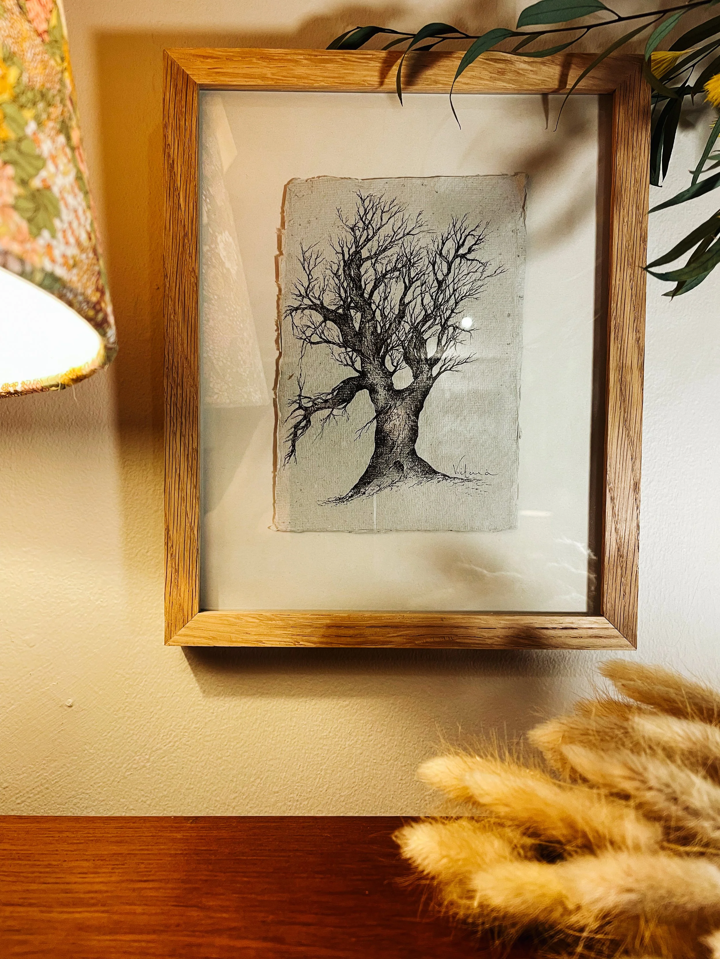 Oak Tree Sketch