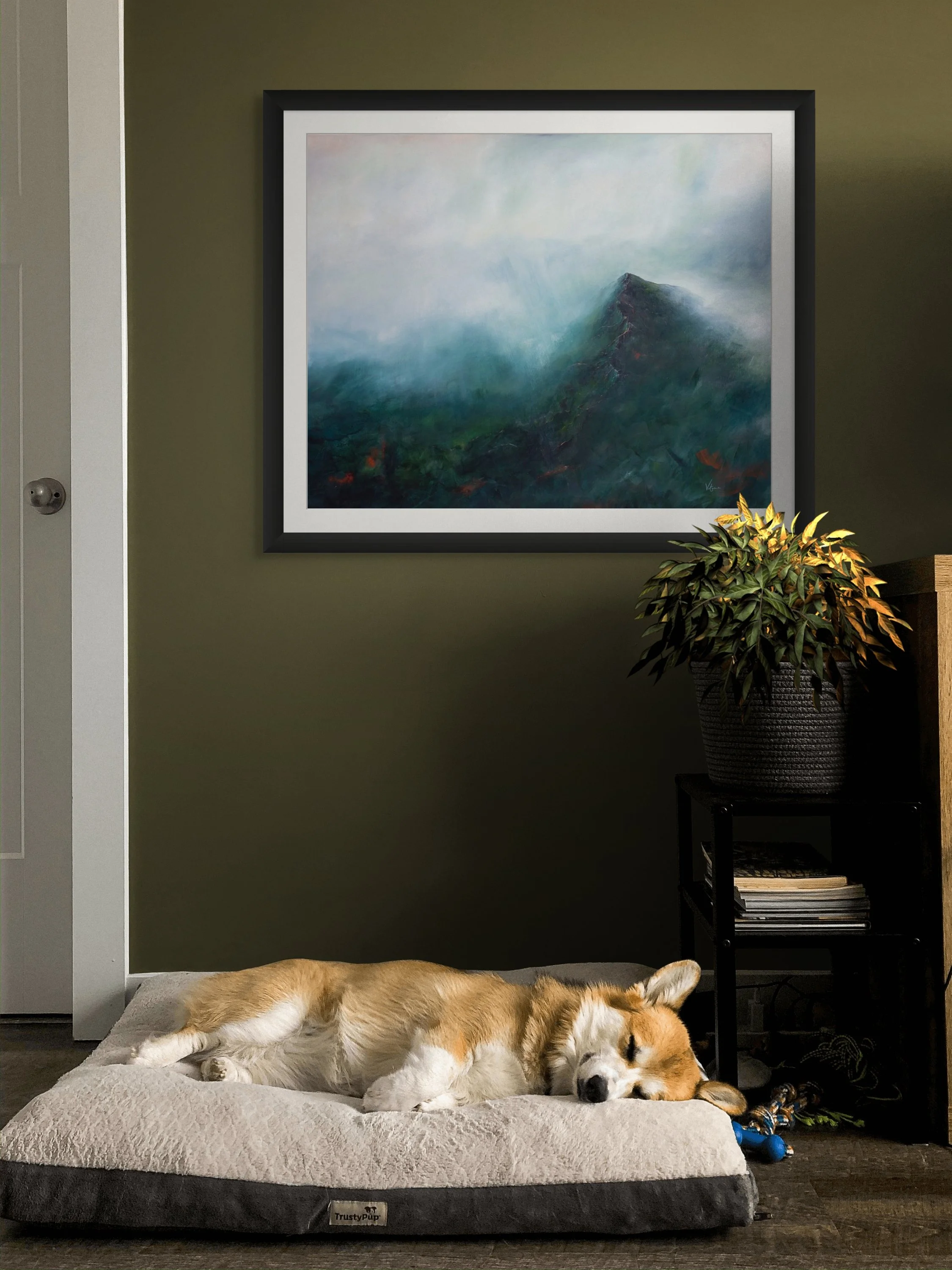 new perspective-dog. digital .jpg