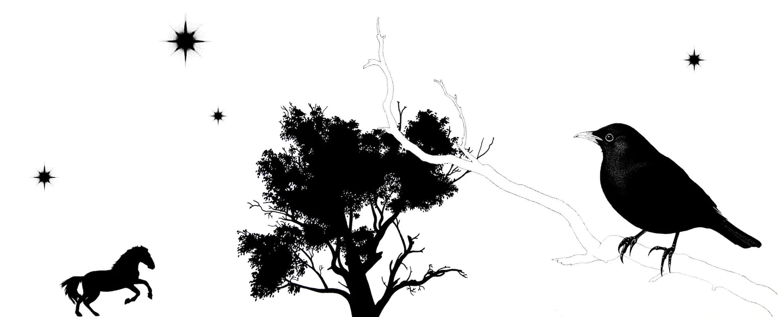 felt-music-australian-musician.jpeg