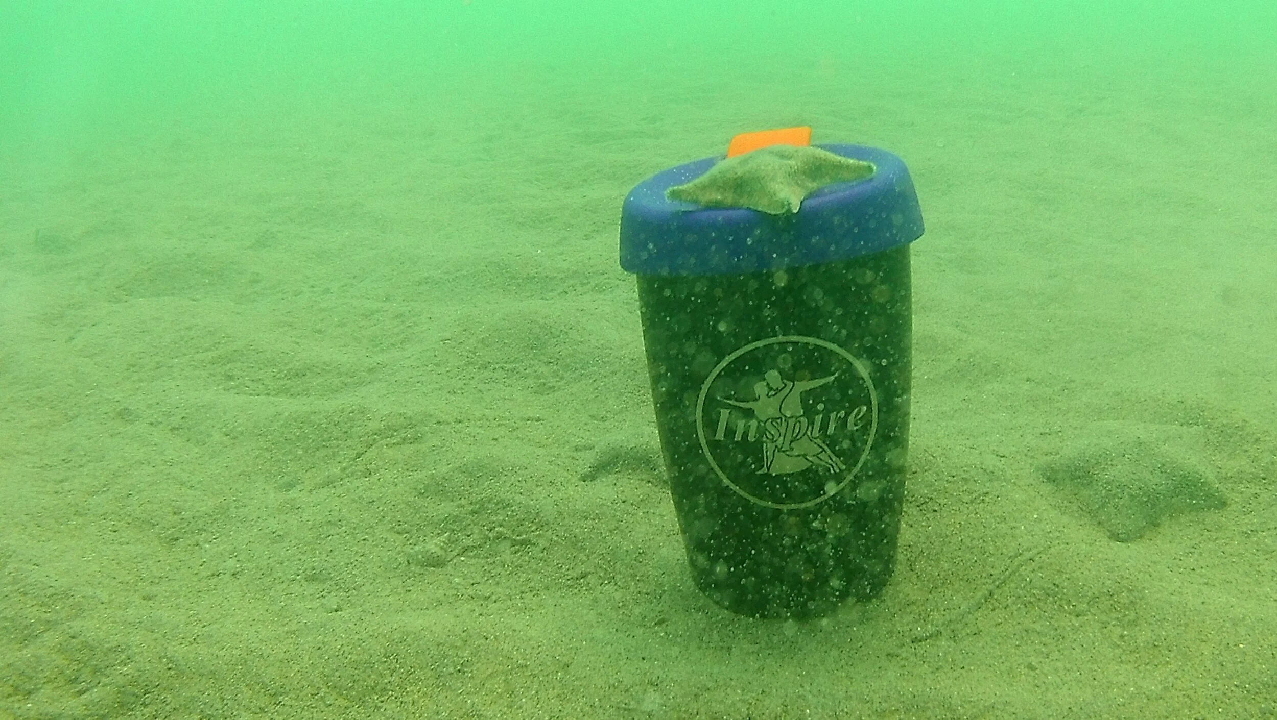 #2 Kathryn Langdon.JPG