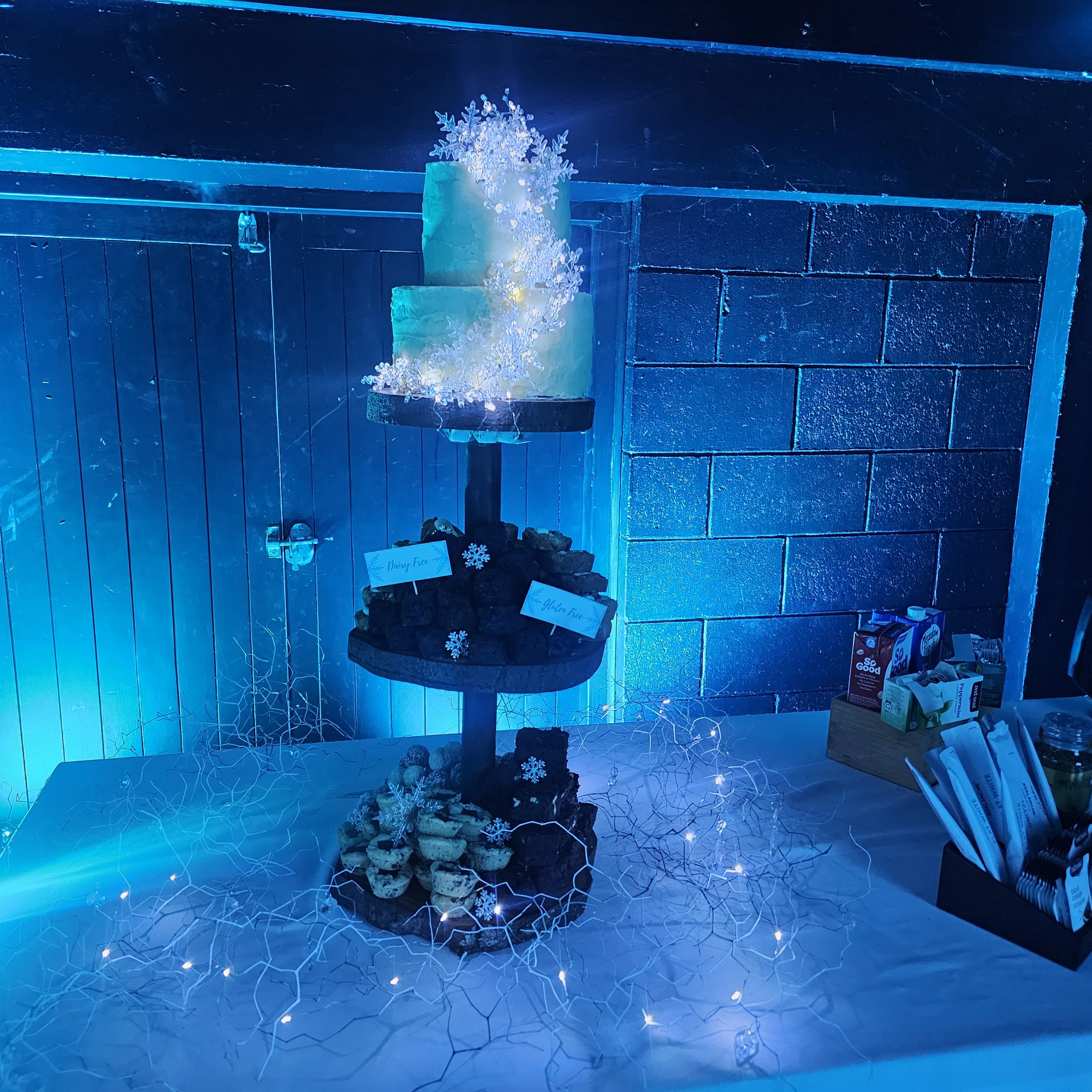 Hanmer Springs Winter Wedding