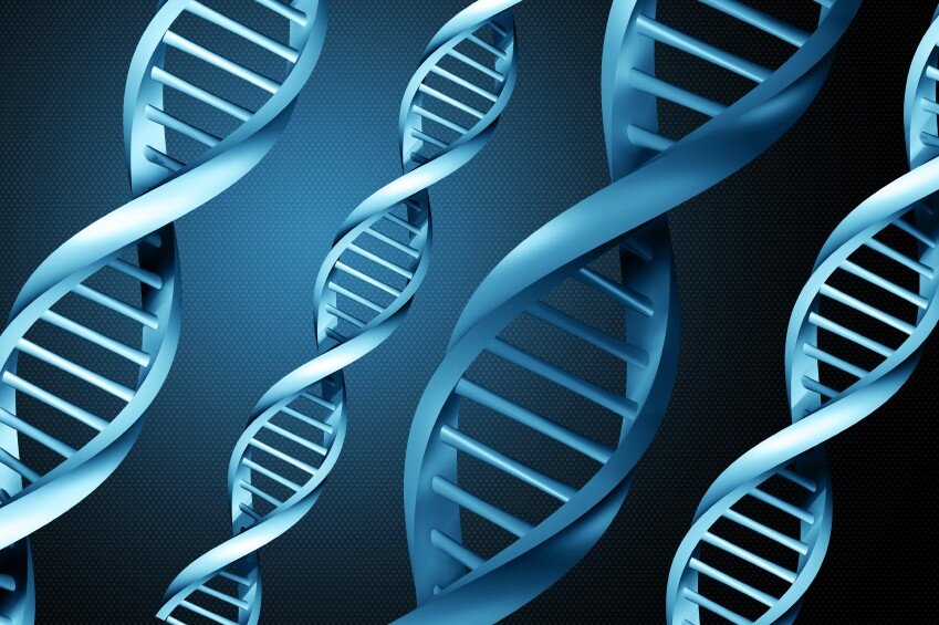 Harnessing the Power of Genetics to Boost Performance