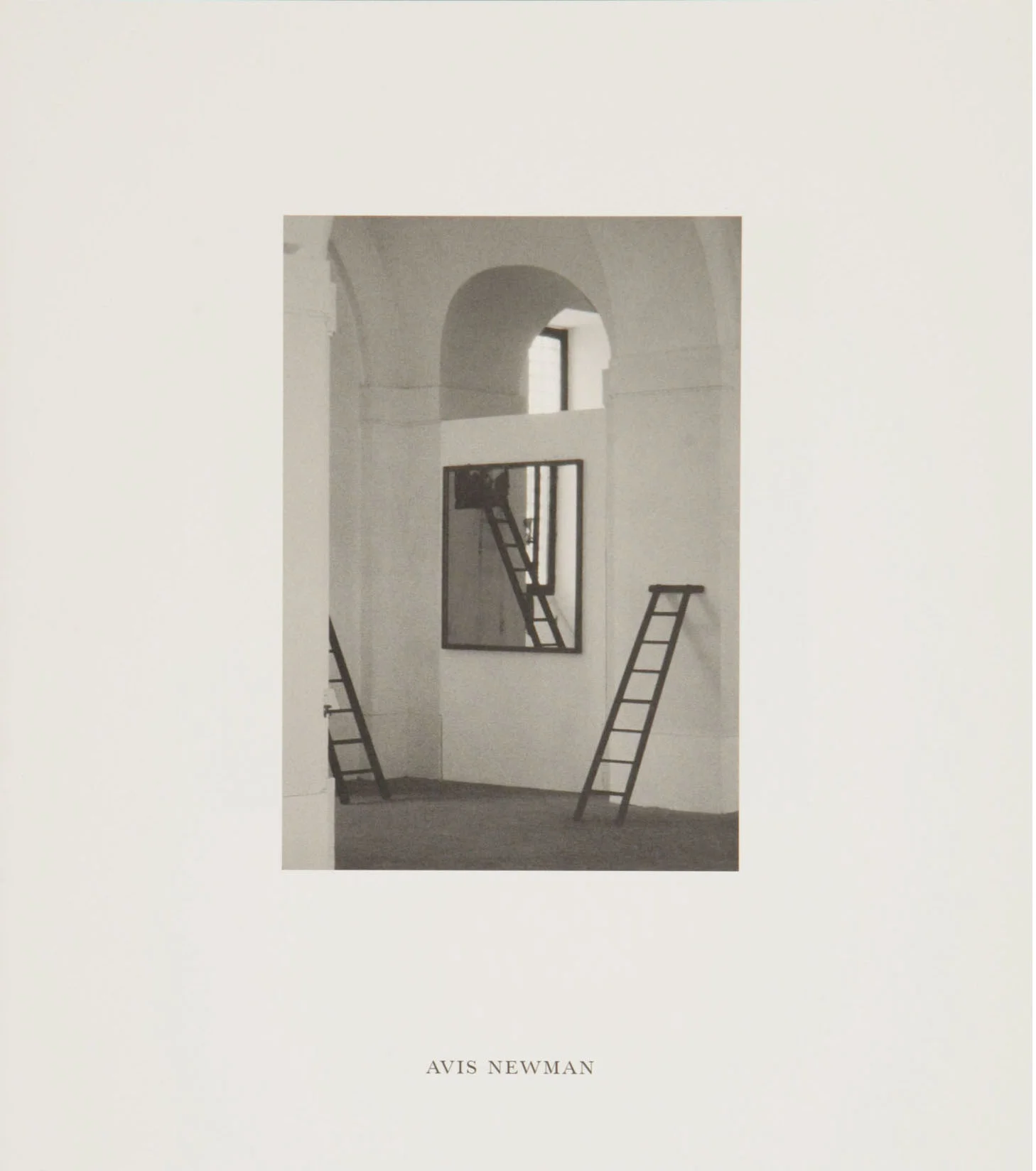  Avis Newman  Text by: Stella Santacatterina  Publisher: Lisson Gallery, 1998  ISBN: 0947830286  Avis Newman’s exhibition at the Lisson Gallery. Lisson Gallery publication 37 