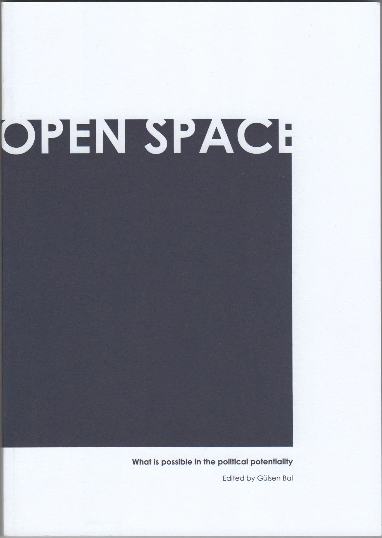  Open Space - what is possible in the political potentiality…  Edited by: Gulsen Bal  (Photographs by Avis Newman &amp; text by Juliet Steyn, Pg100 - 109)  Publisher: Divus  ISBN 978-80-86450-66-7 Language: English  ISBN 978-80-86450-67-4 Language: G