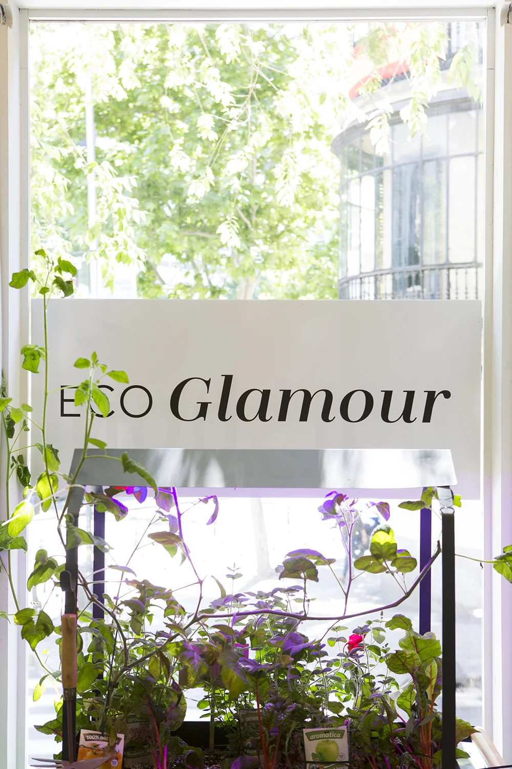 Finales_DOUGLAS_ECO GLAMOUR_14 mayo 2019-43.jpg