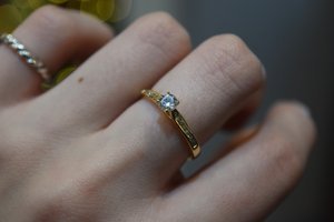 DSC_0417+(1).jpg