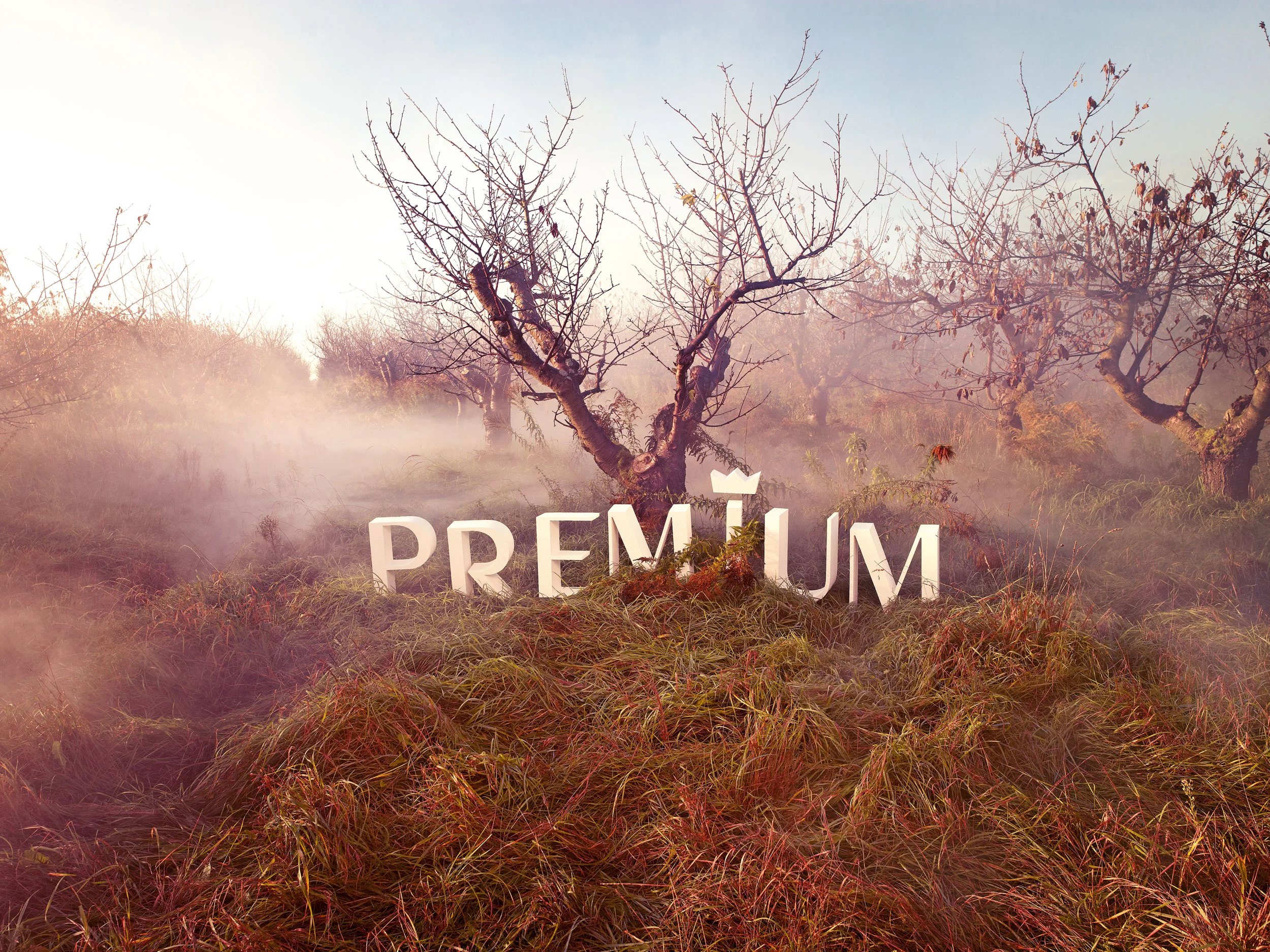 Über viele Saisons hat Sonnenstaub die Premium Messe halbjährlich im Rahmen der Fashion Week Berlin begleitet. Am Anfang stand 2009 der Relaunch der Marke, die Webseite und die Geschäftsausstattung. Sonnenstaub betreute die Premium Exhibitions grafisch komplett – von der Konzeption des Keyvisuals und des Fotoshootings über die Entwicklung und Illustration von Anzeigenmotiven, Webbannern, Flyern, dem eigenen Kundenmagazin, Außenwerbung, bis hin zum Ausstellerkatalog oder auch der Verhüllung eines ganzen Gebäudes. Und das nicht nur in Berlin, sondern auch bei den beiden Ablegern: Premium Order München und Premium Order Düsseldorf .