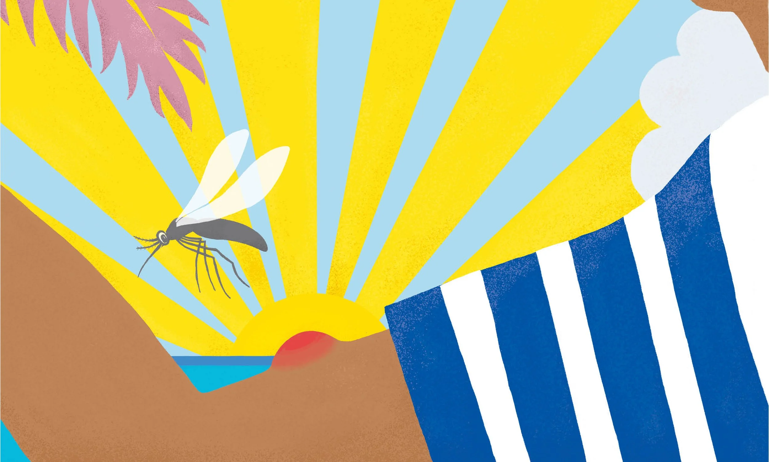 20240524_Sonnenstaub_Web_P&T Eistee4.jpg