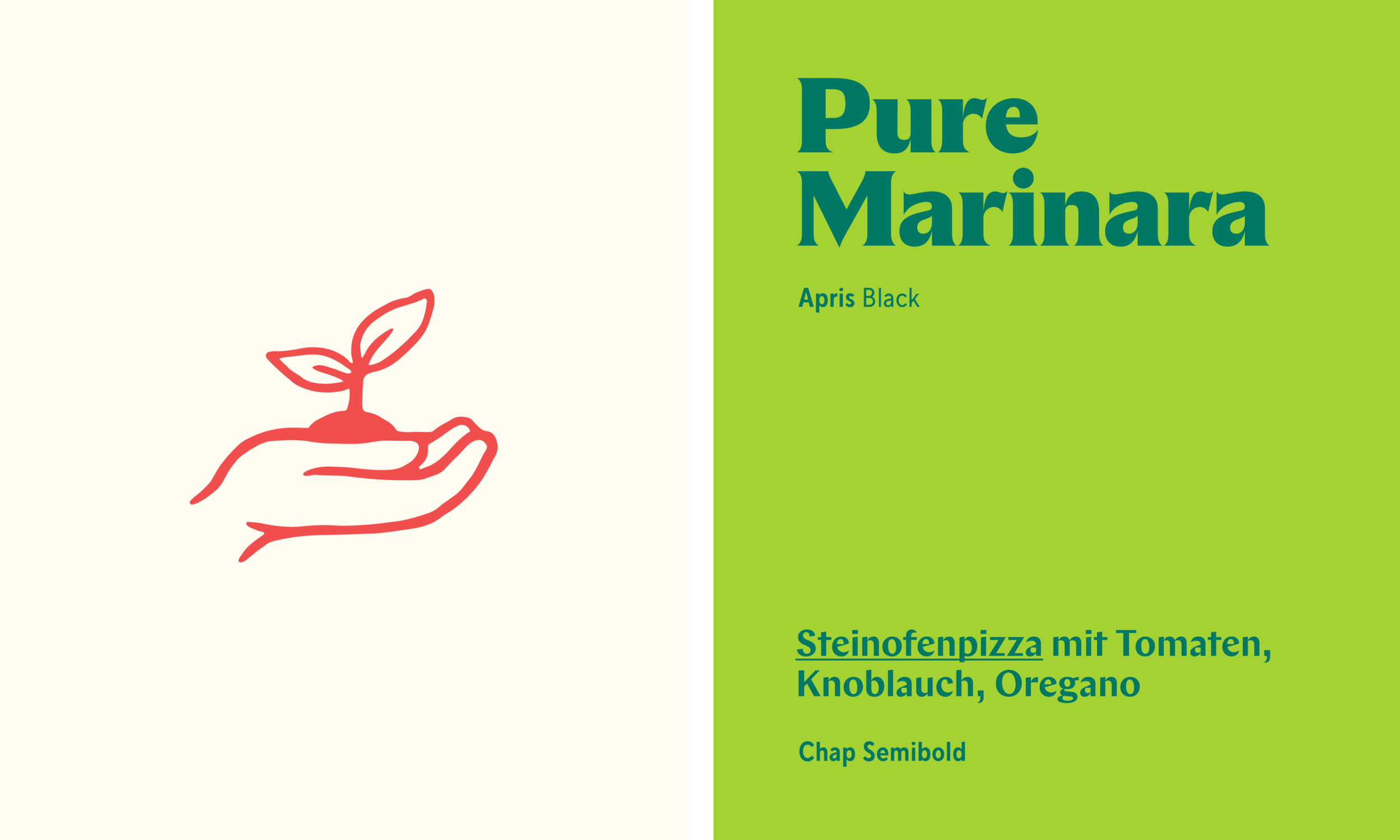 20241028_Sonnenstaub_Freda_Icons_Farben.gif