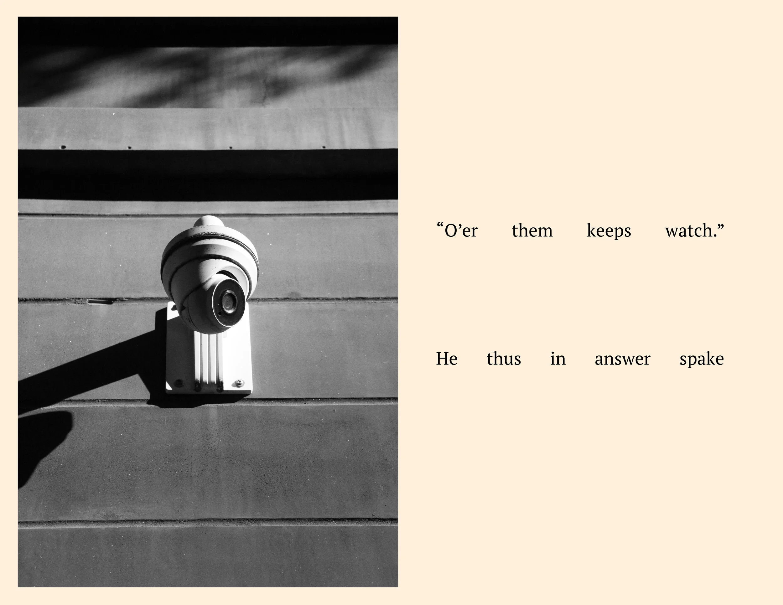 Surveillance and Whiteness Book10.jpg
