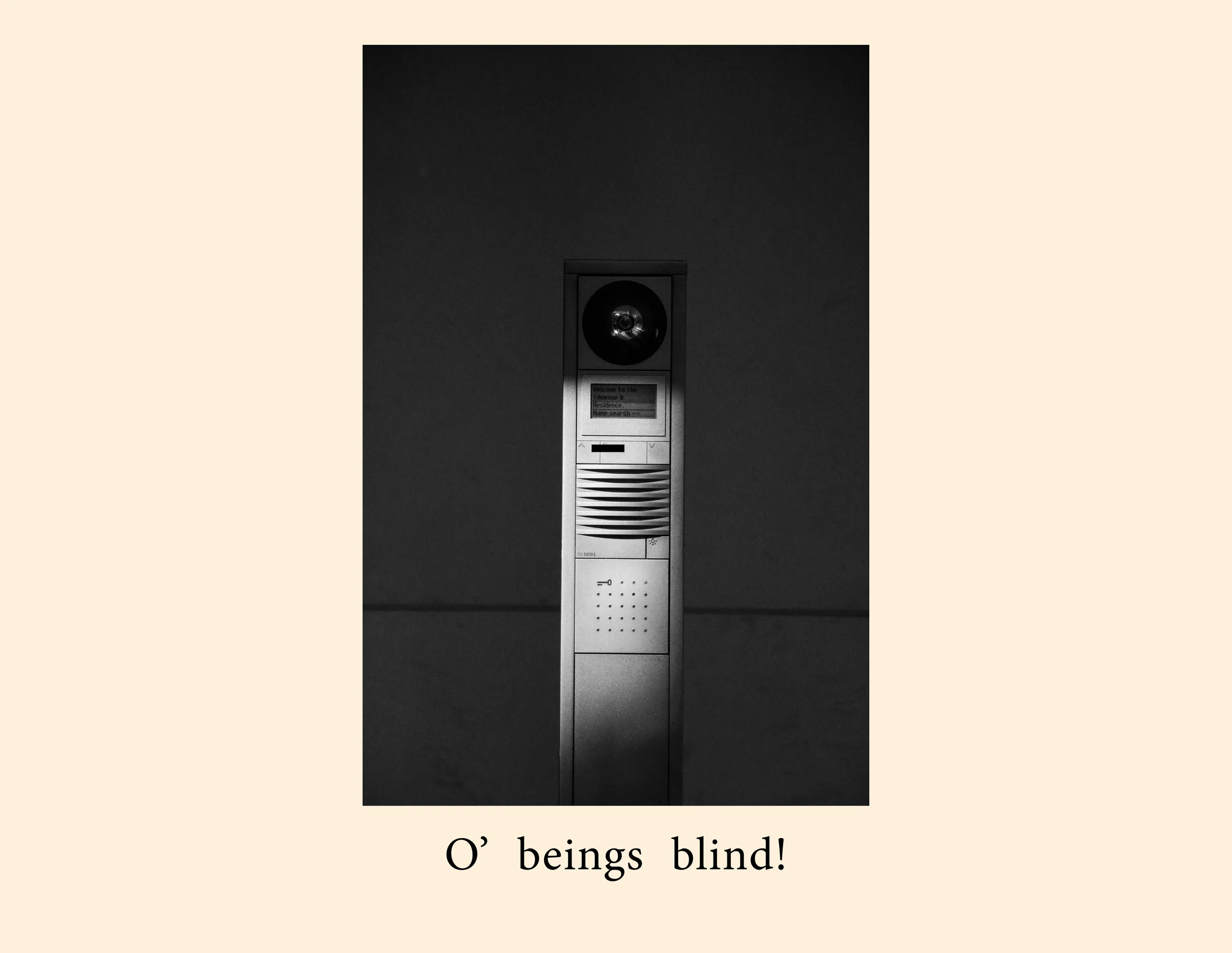 Surveillance and Whiteness Book11.jpg