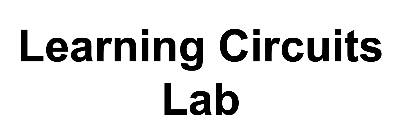 Learning Circuits Lab