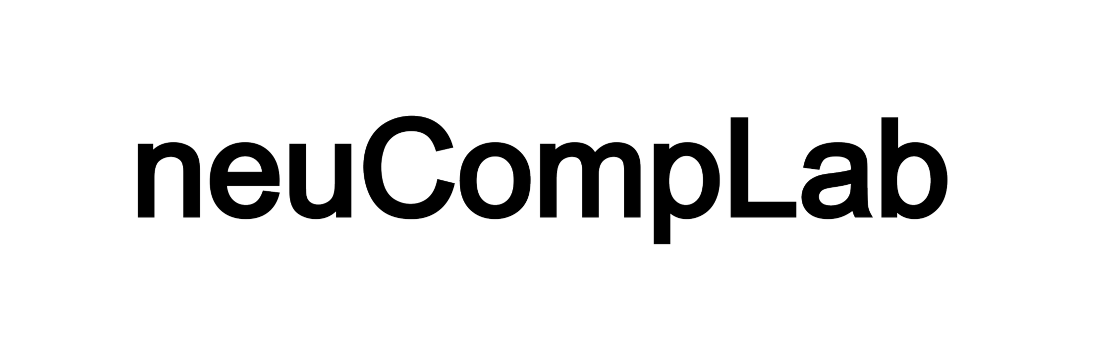 neuCompLab