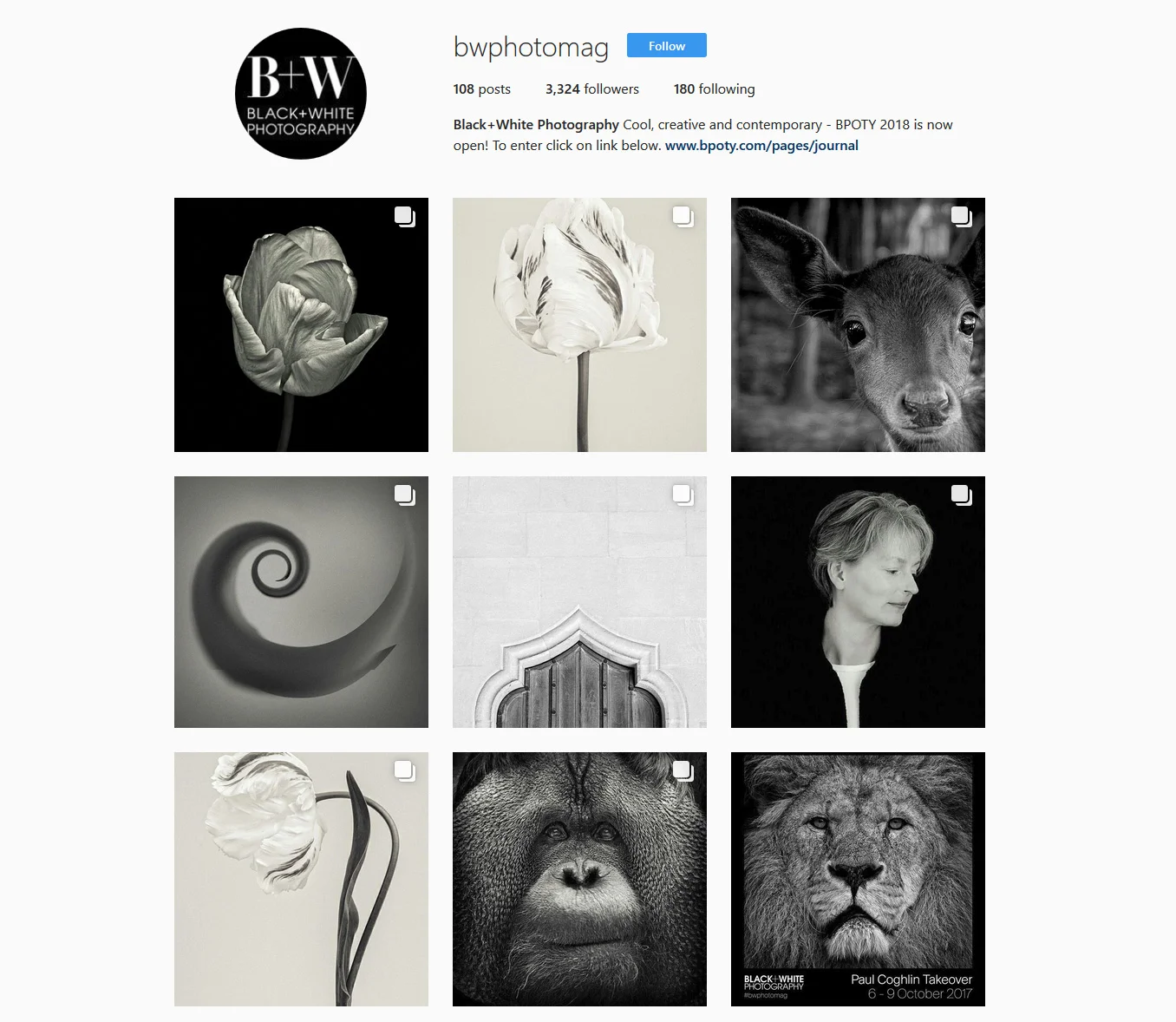B+W-Photo-Mag-Insta-Feed.jpg