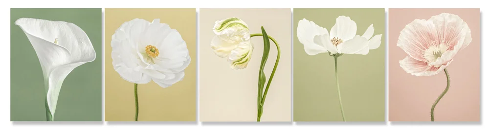 Social-banner-1000px.jpg