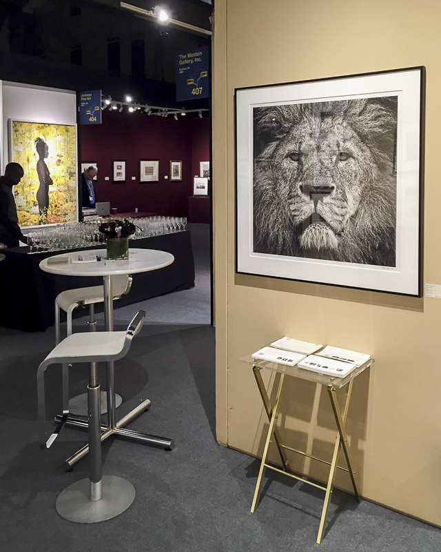 IMG_0004, Lion's Stare print at AIPAD 2016, New York City (© Davi Weston, Weston Gallery)-2 web.jpg