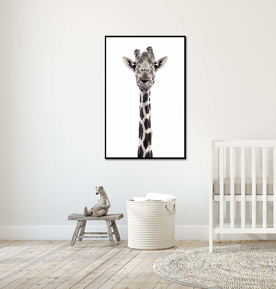 Giraffe V. Limited edition photographic print by fine art photographer Paul Coghlin. Black and white photograph of a tall giraffe in a child’s bedroom.