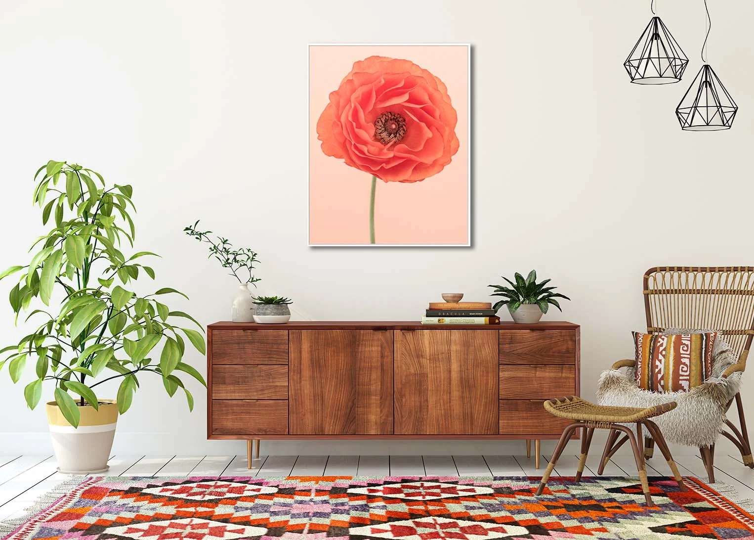 Limited edtiion photographic print of an orange ranunculus by fine art photographer Paul Coghlin. Shown in a room setting