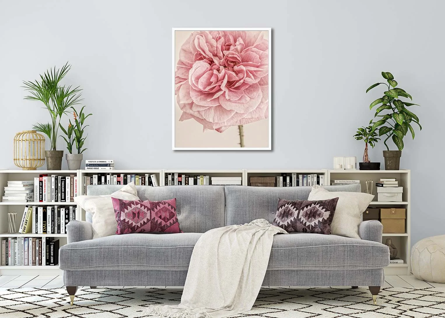 English Rose I. Limited edition photographic print of an English rose by fine art photographer Paul Coghlin.