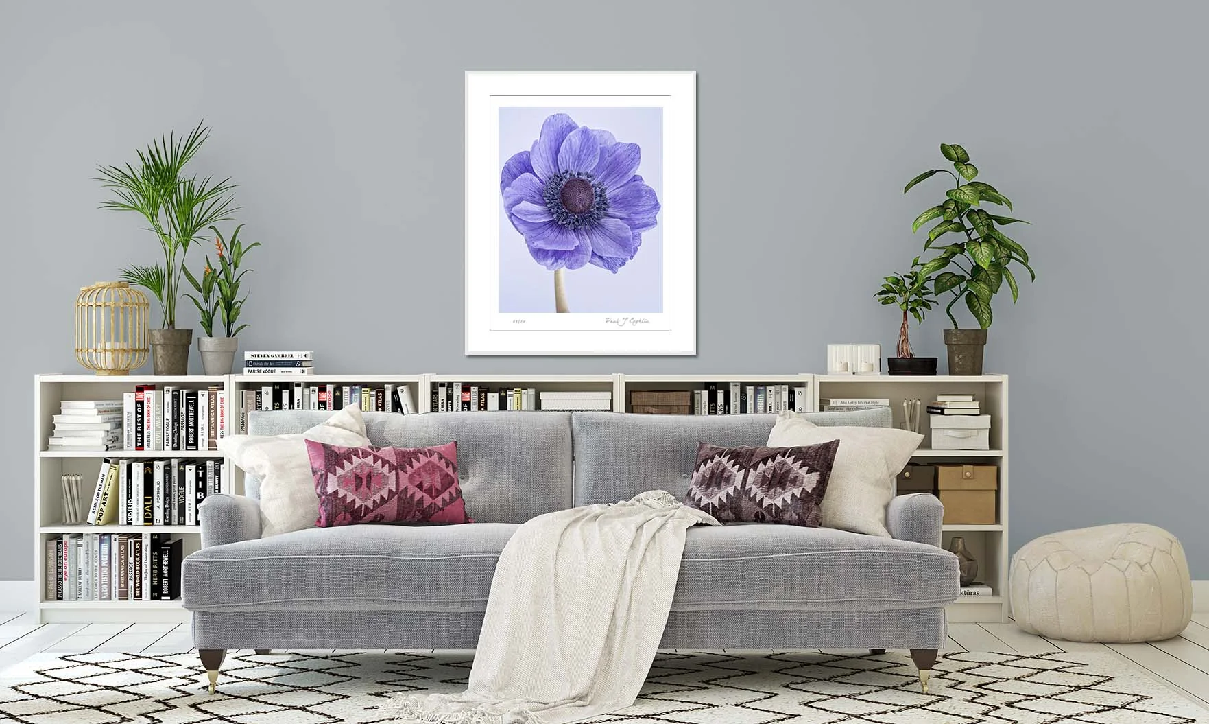 Blue anemone on a pale blue background. Limited edition botanical print by fine art photographer Paul Coghlin