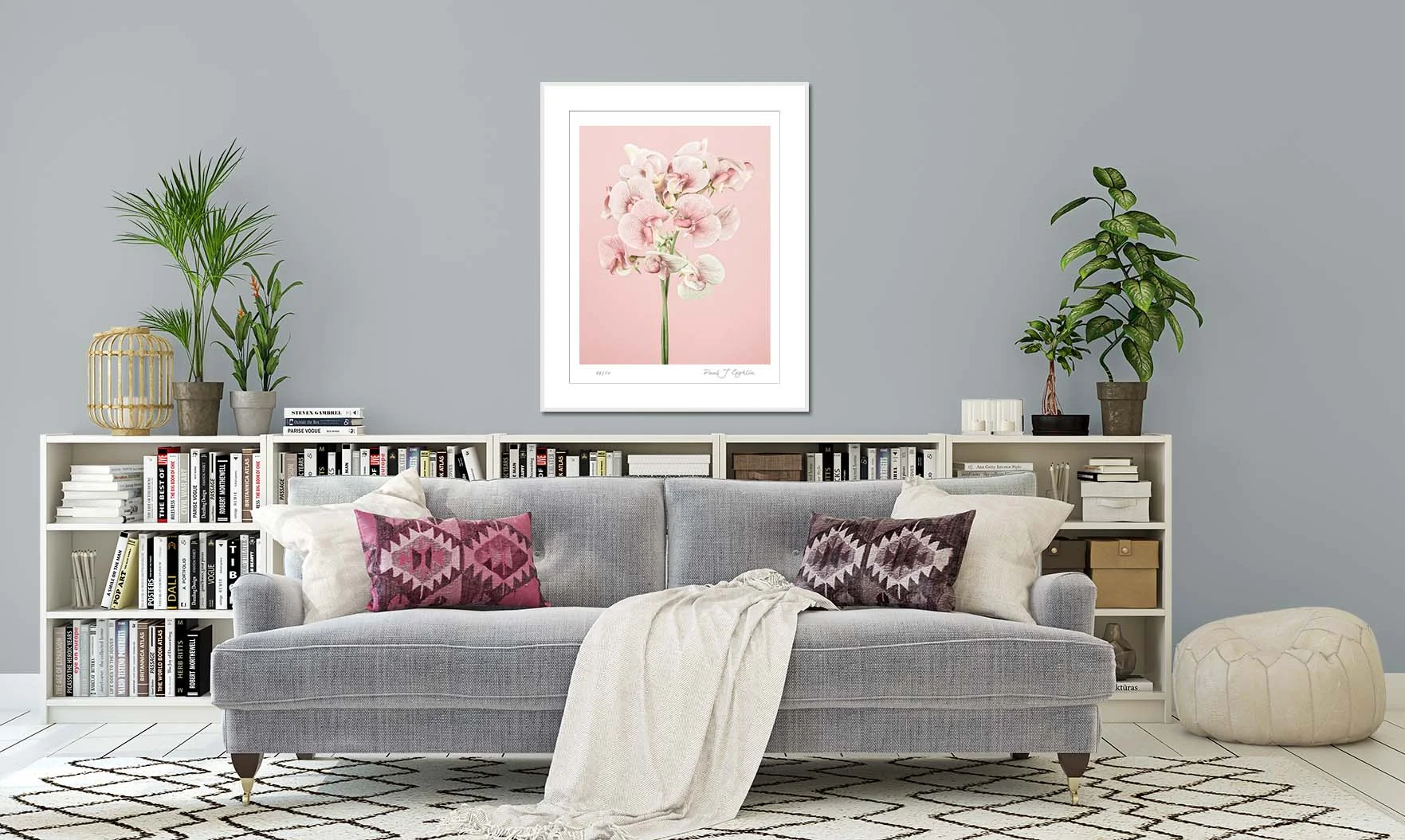 Photographic print of pink sweetpeas on a pink background. Limited edition botanical print by fine art photographer Paul Coghlin