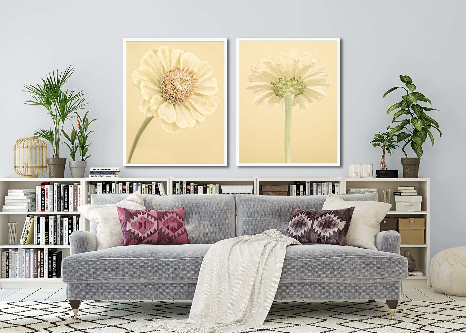 Pale Yellow Zinnia I + II. Limited edition botanical prints by fine art photographer Paul Coghlin