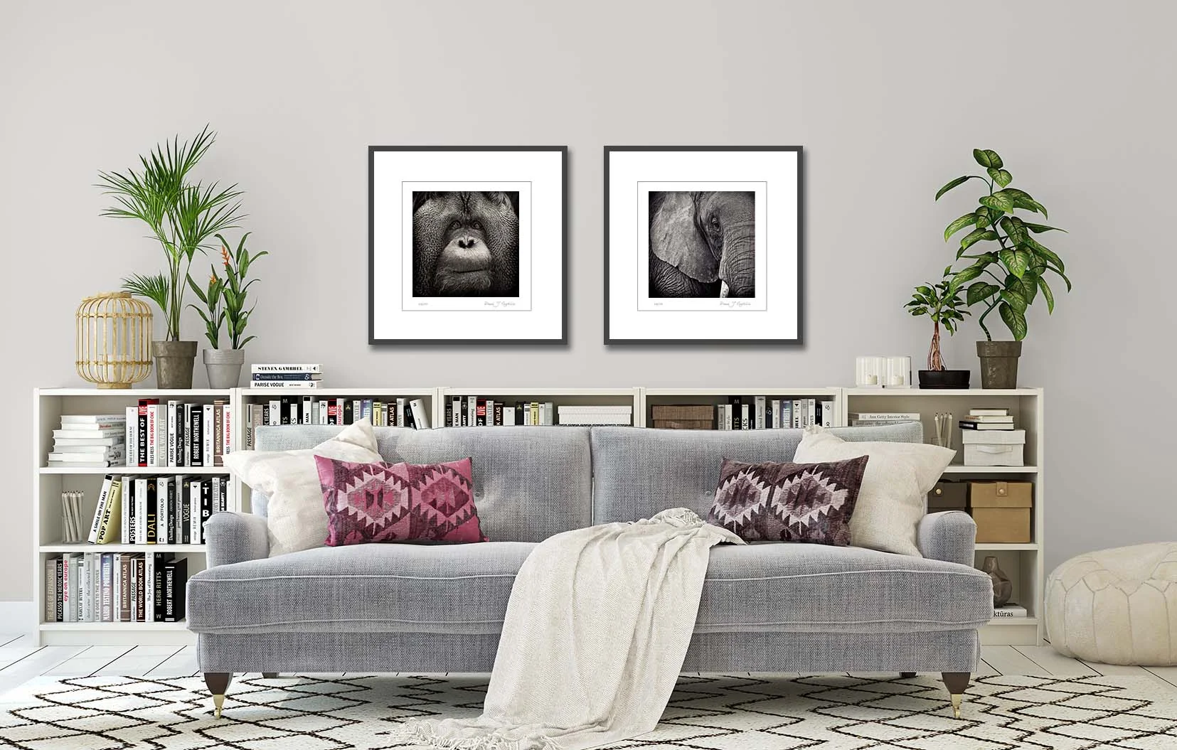 Potrait of an Elephant and Regard. Limited edtion photographic prints of an elephant and an orangutan in black and white, by fine art photographer Paul Coghlin.