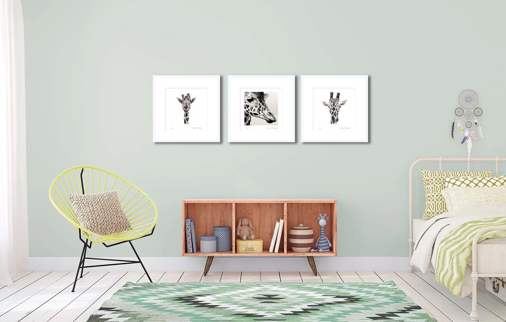 Three black and white photograhic portraits of a giraffe. Limited edtion prints by fine art photographer Paul Coghlin.