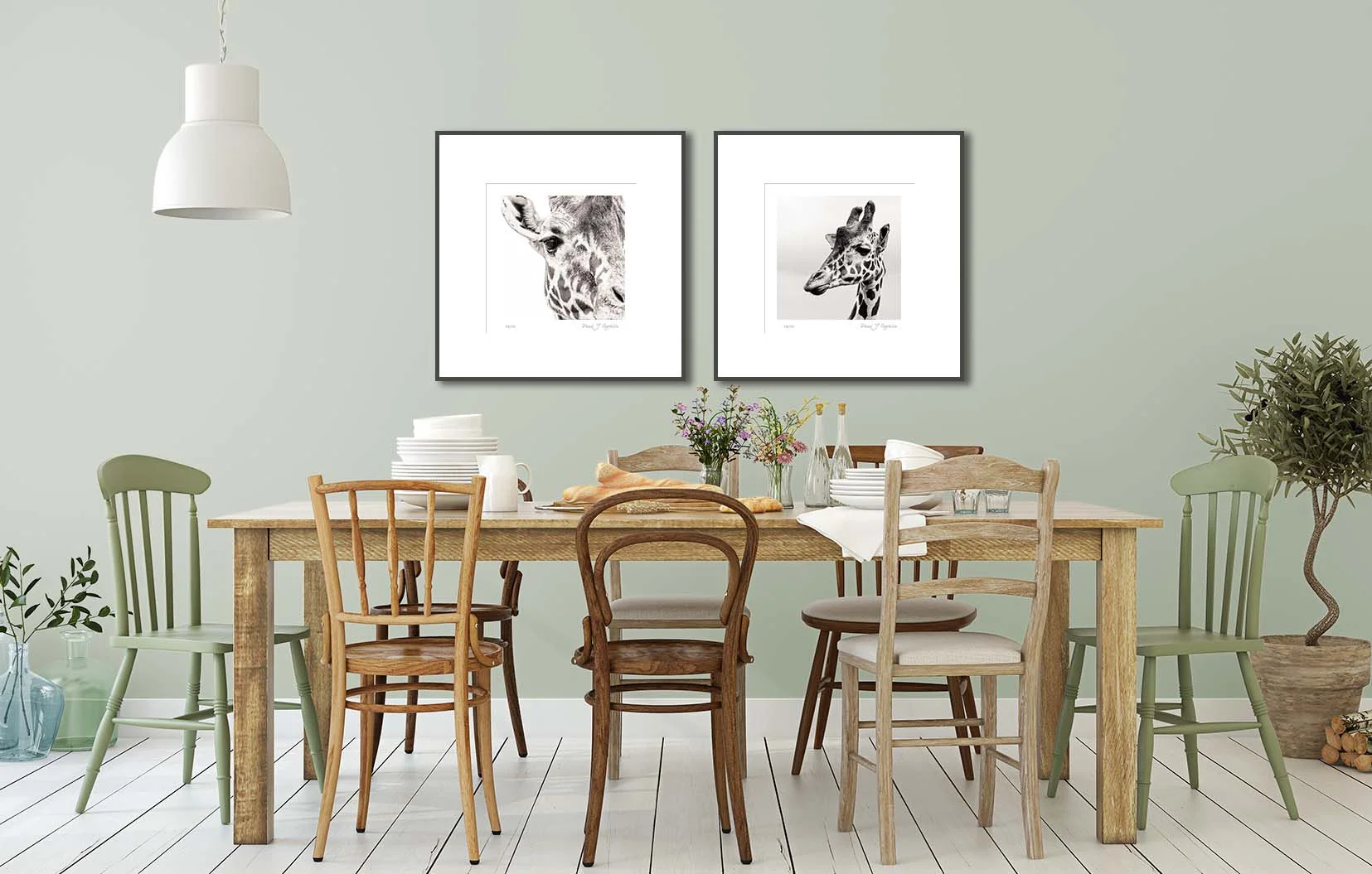 Black and white portraits of a giraffe. Limited edition photographic prints by fine art photographer Paul Coghlin.