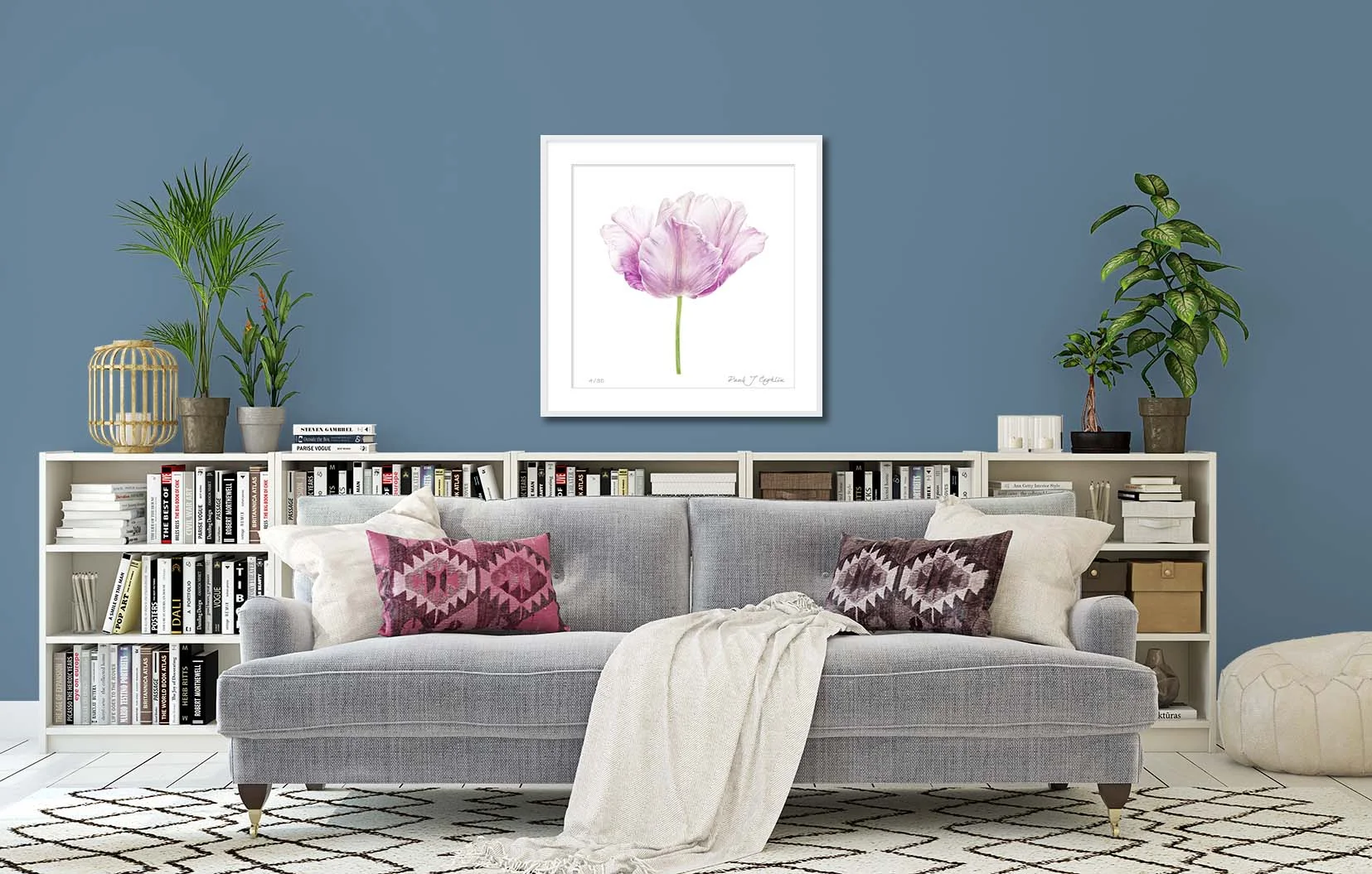 Blue Parrot Tulip I. Limited edition colour print of a blue parrot tulip by fine art photographer Paul Coghlin FBIPP.